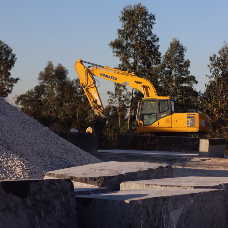 Image of this section