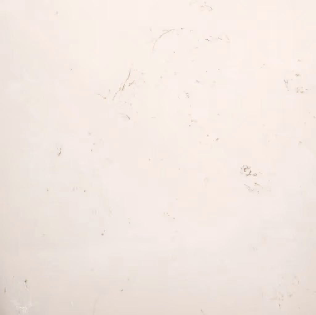 Image of this product