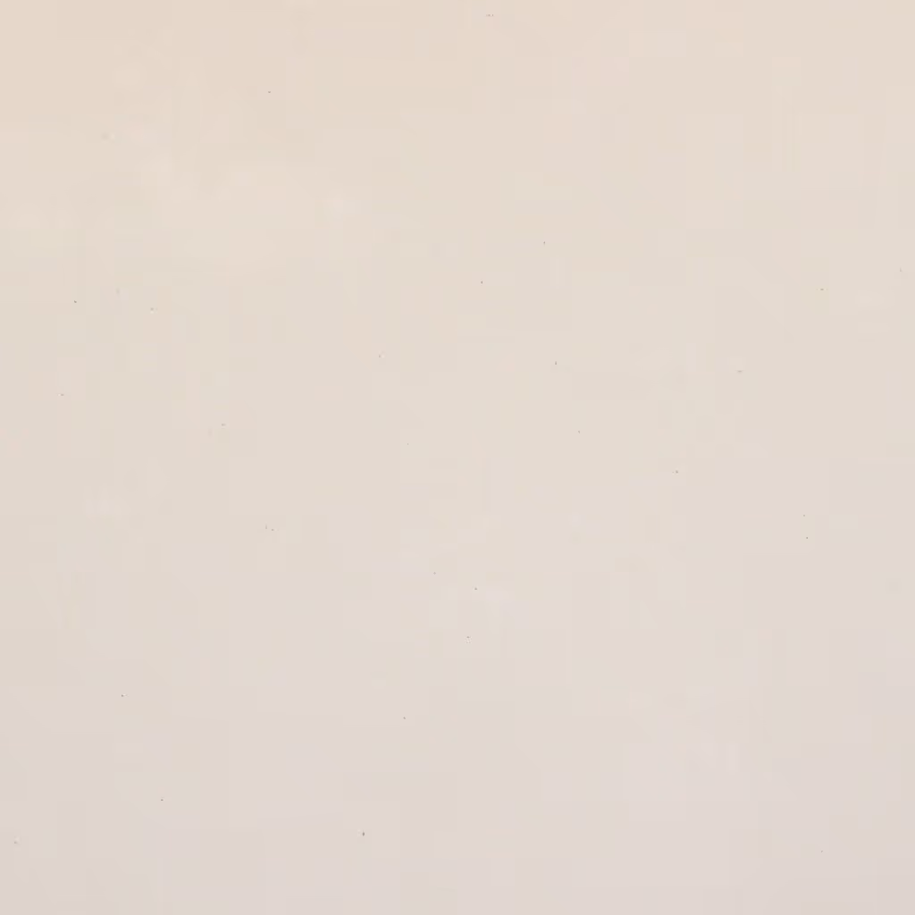 Image of this product