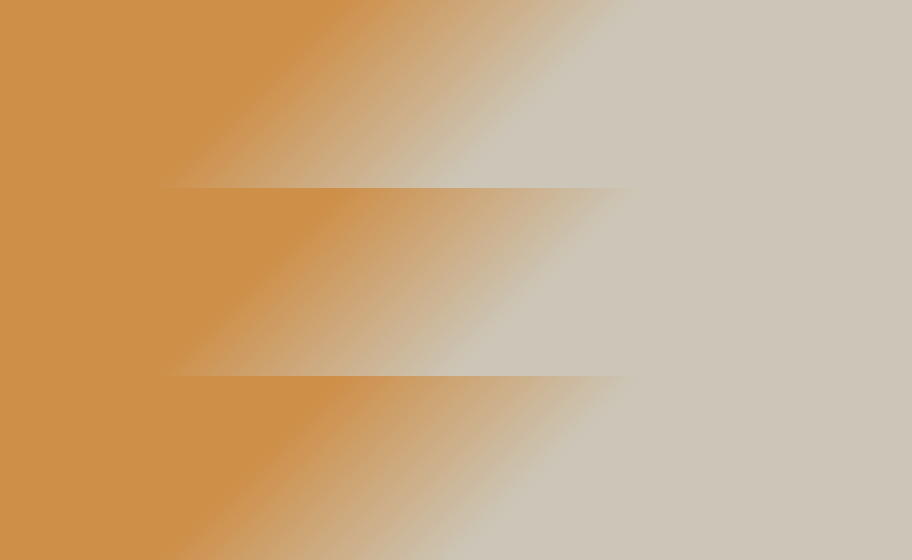 Category Visionaries: Interview with CEO Paul Monasterio