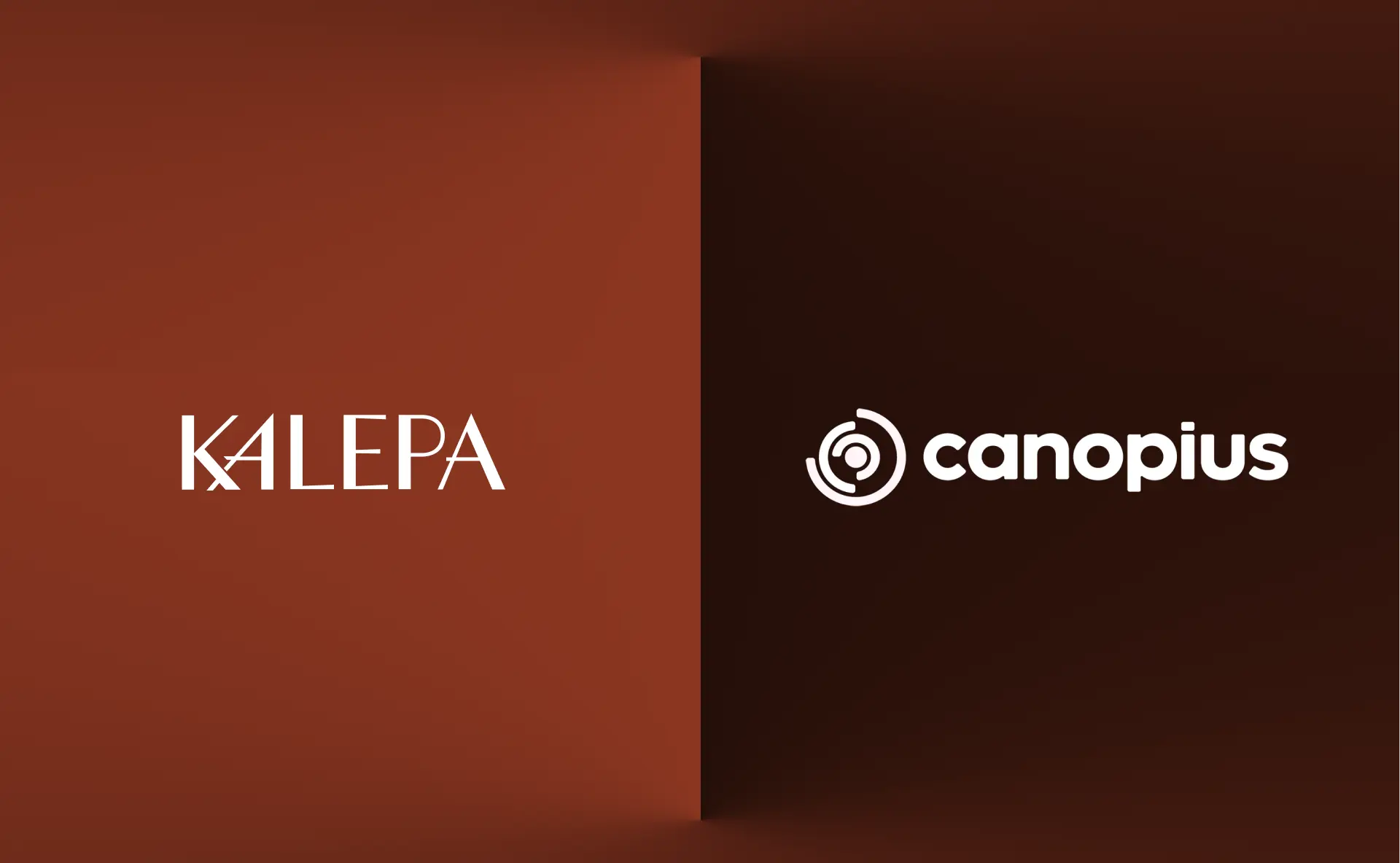 Kalepa To Partner with Canopius To Power Underwriting Excellence