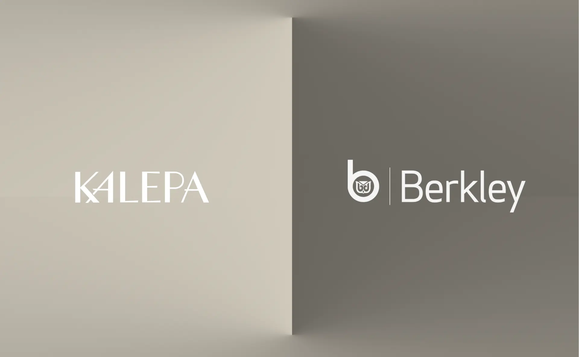 Berkley Expands Use of Kalepa’s Platform