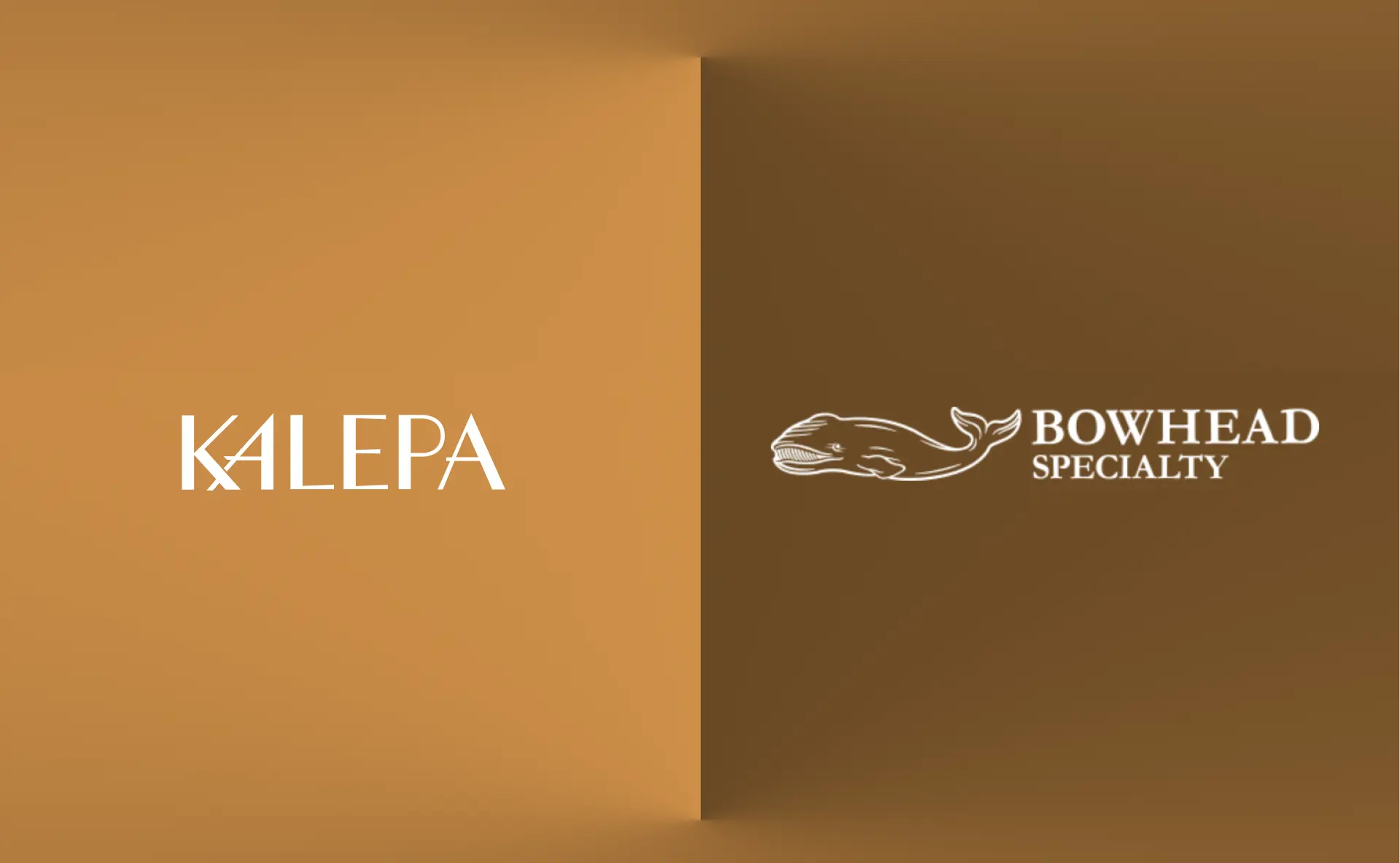 Bowhead Specialty Deploys Kalepa’s Copilot