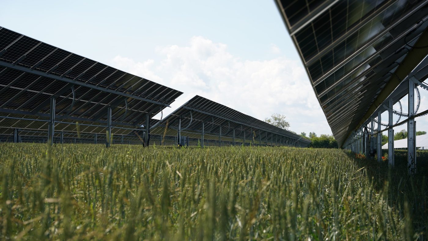 Agri-PV-Tracker über einem Weizenfeld
