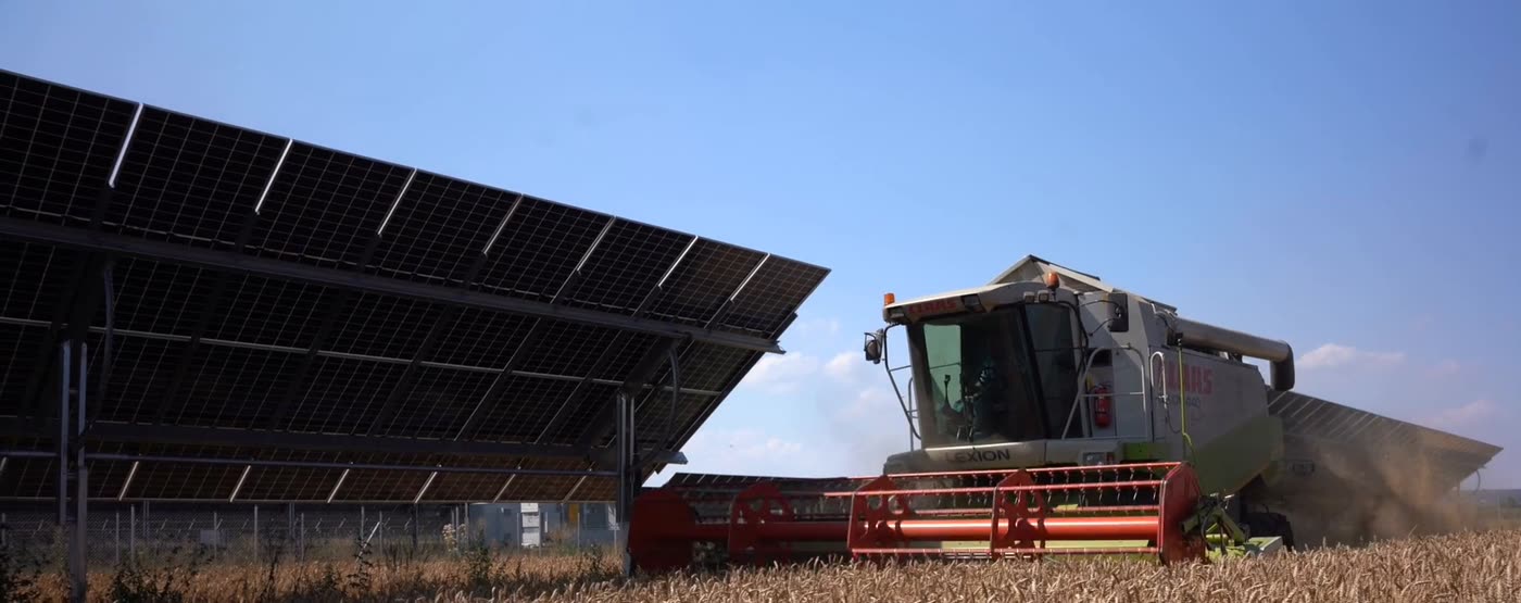 Mähdrescher erntet Getreide unter Agri-PV-Trackern