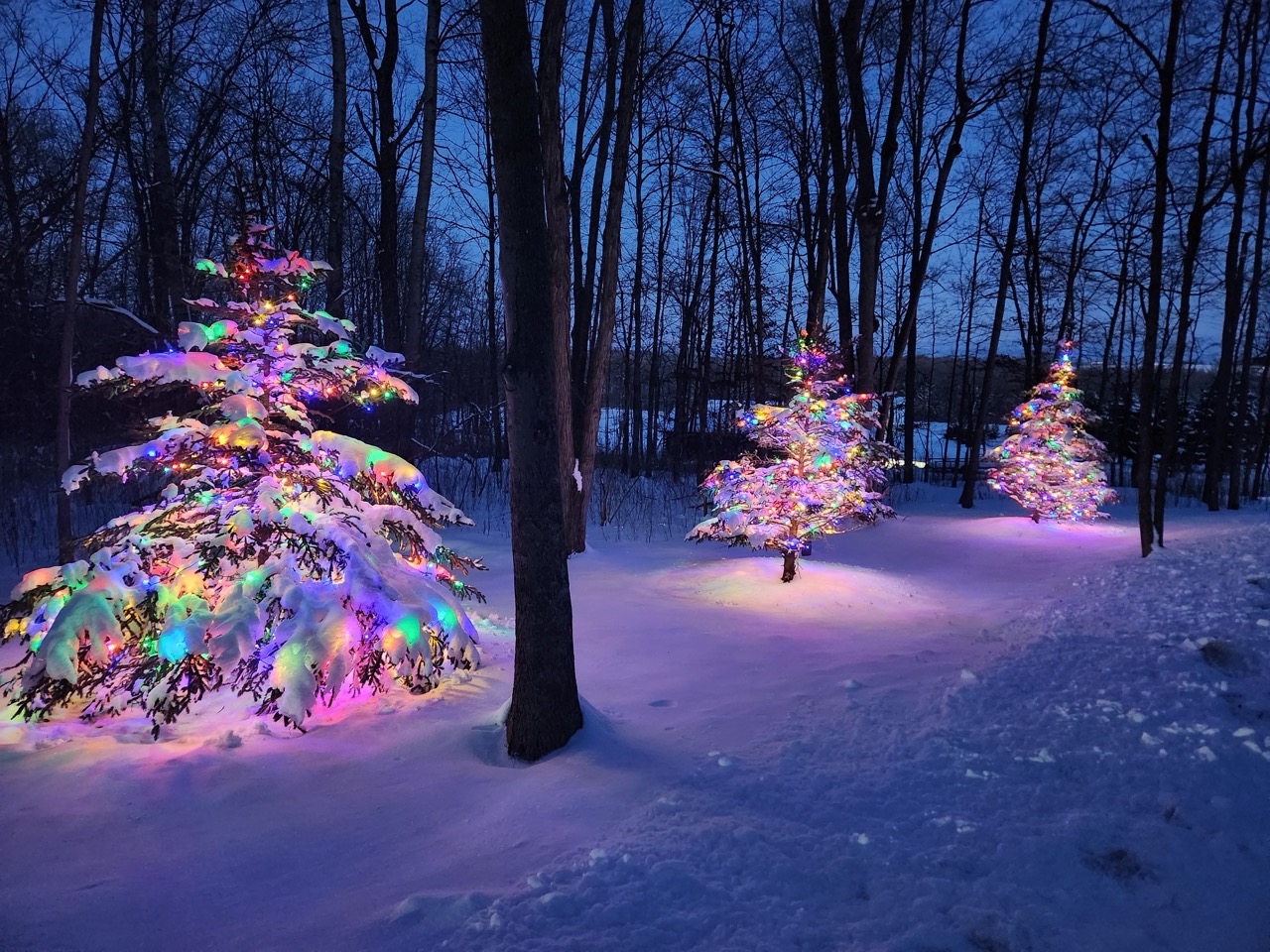 Lighting By Luke Holiday Lights