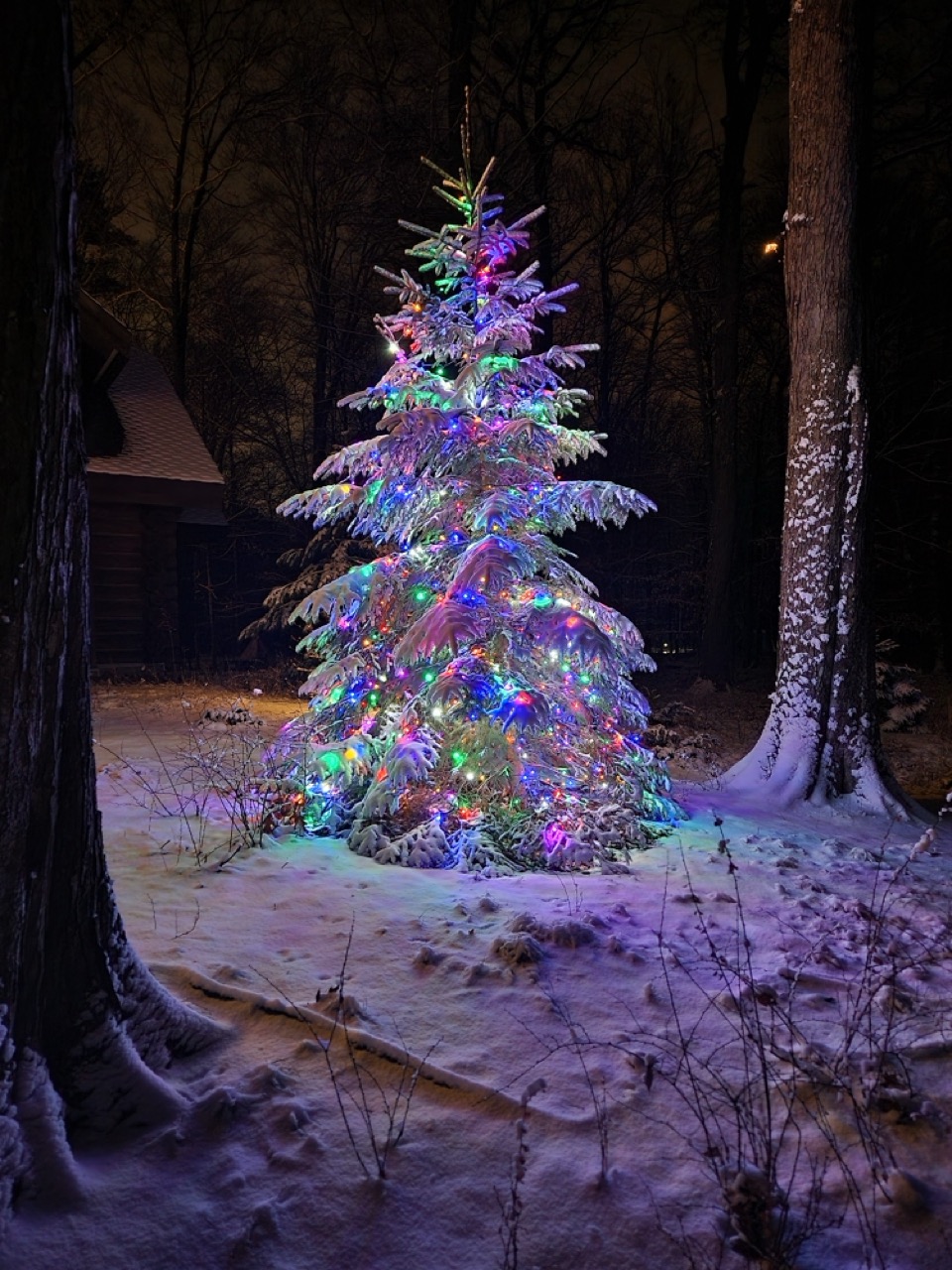 Lighting By Luke Holiday Light Tree