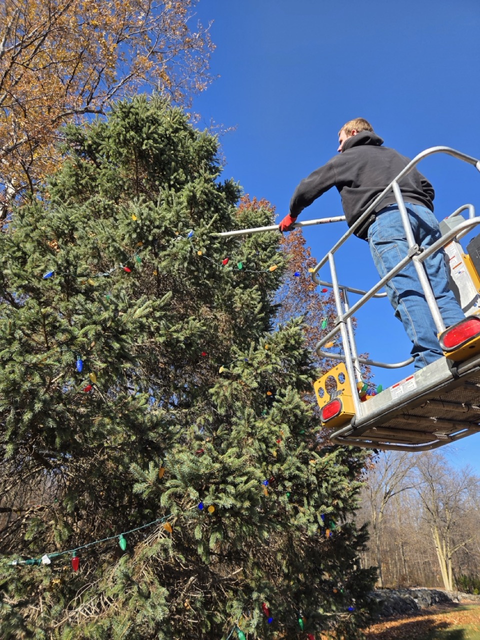 Lighting By Luke installing holiday lights