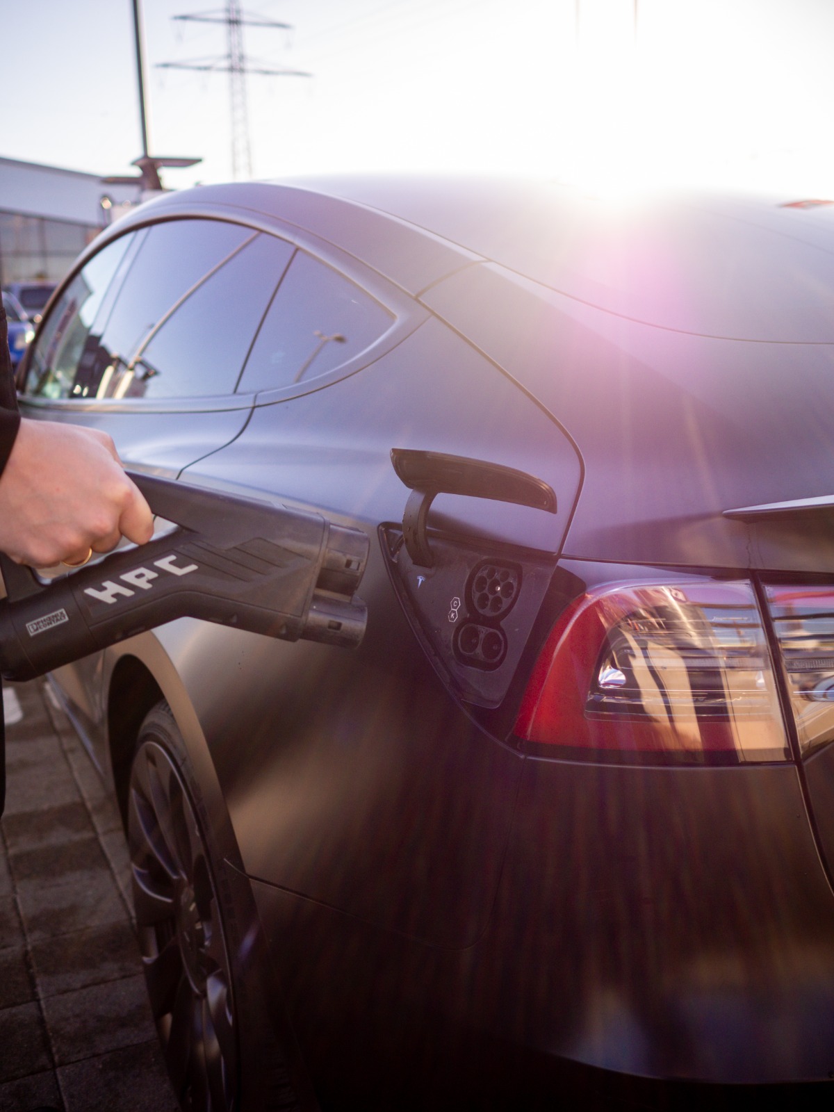 image of appetizers and drinks (for a ramen shop)