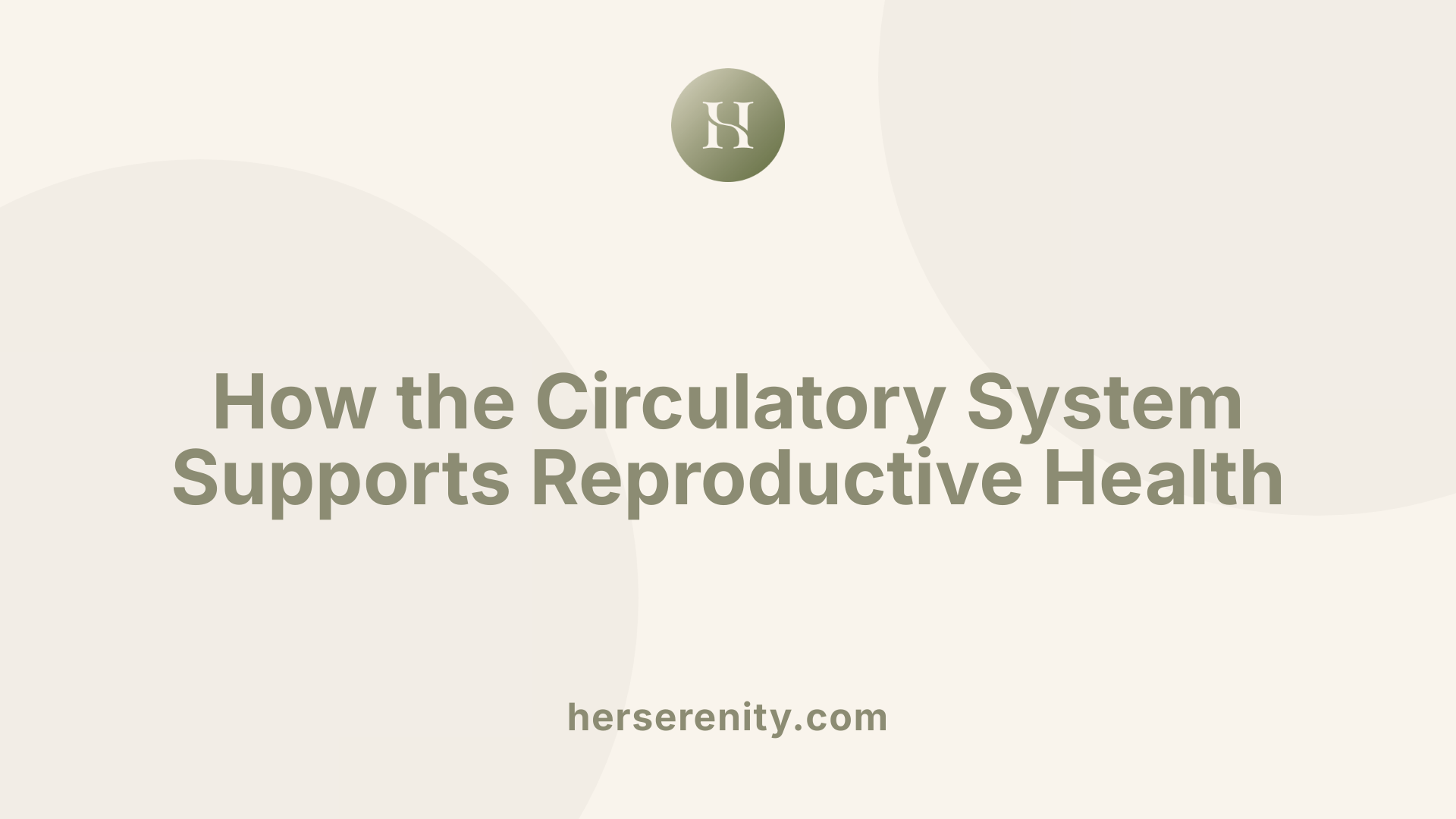 How the Circulatory System Supports Reproductive Health