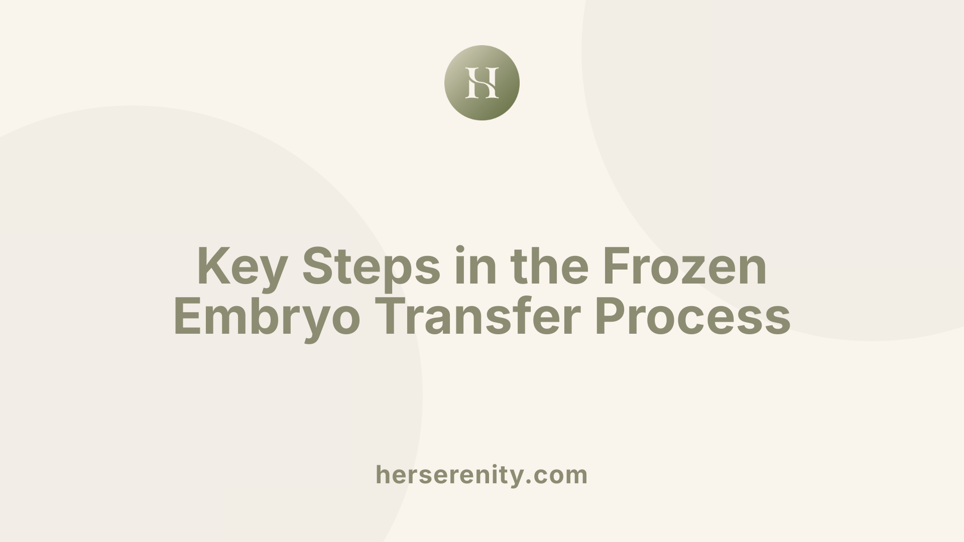 Key Steps in the Frozen Embryo Transfer Process