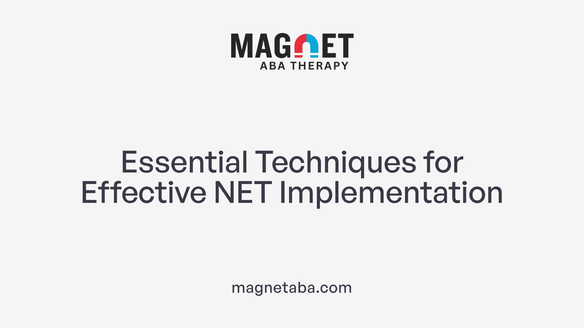 Essential Techniques for Effective NET Implementation