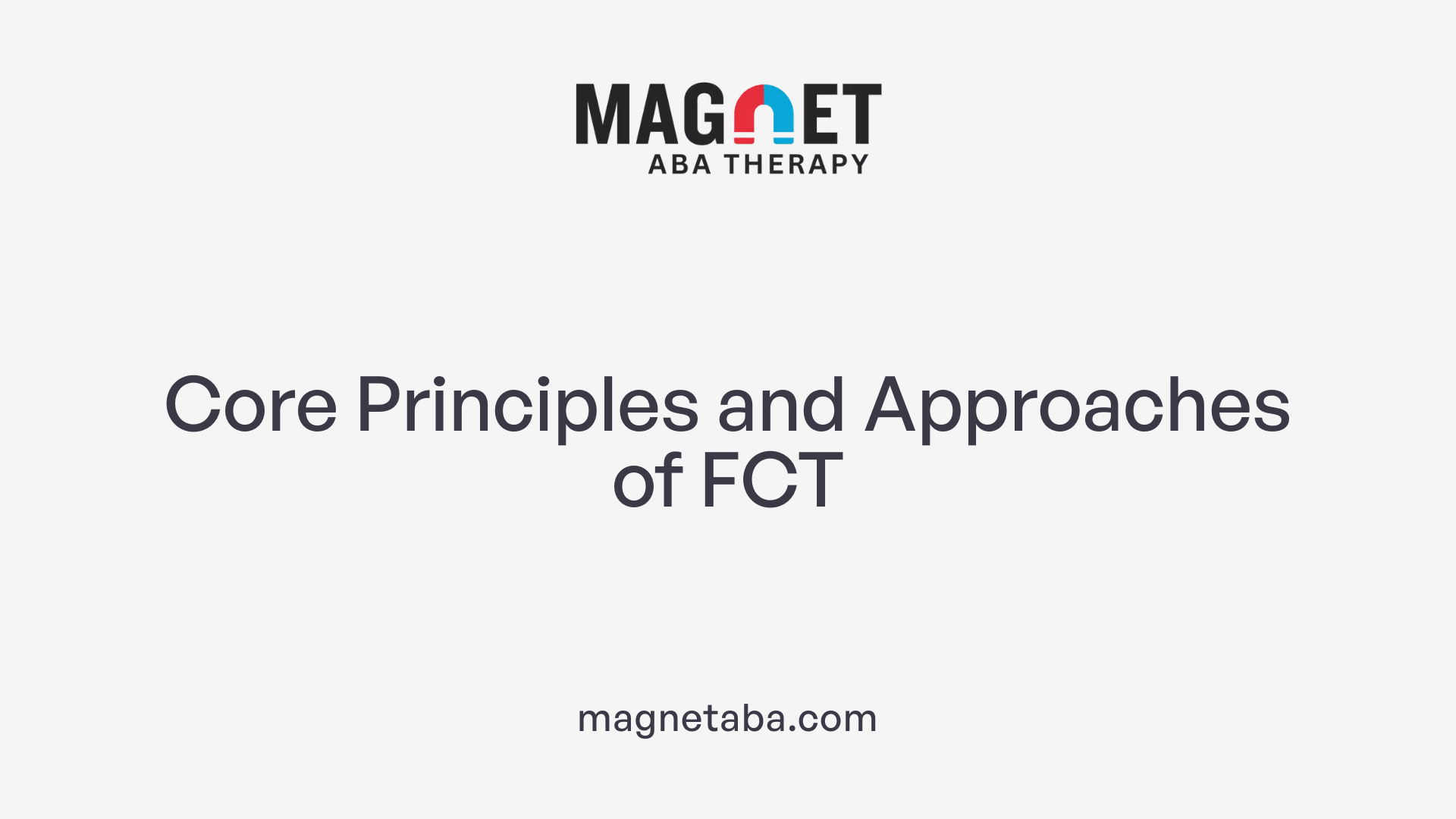 Core Principles and Approaches of FCT