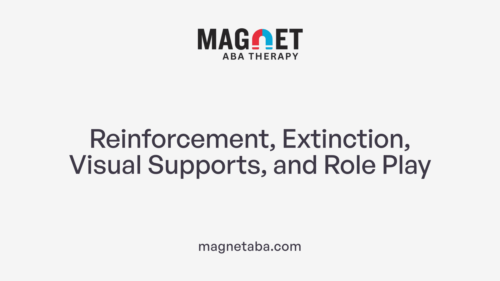 Reinforcement, Extinction, Visual Supports, and Role Play