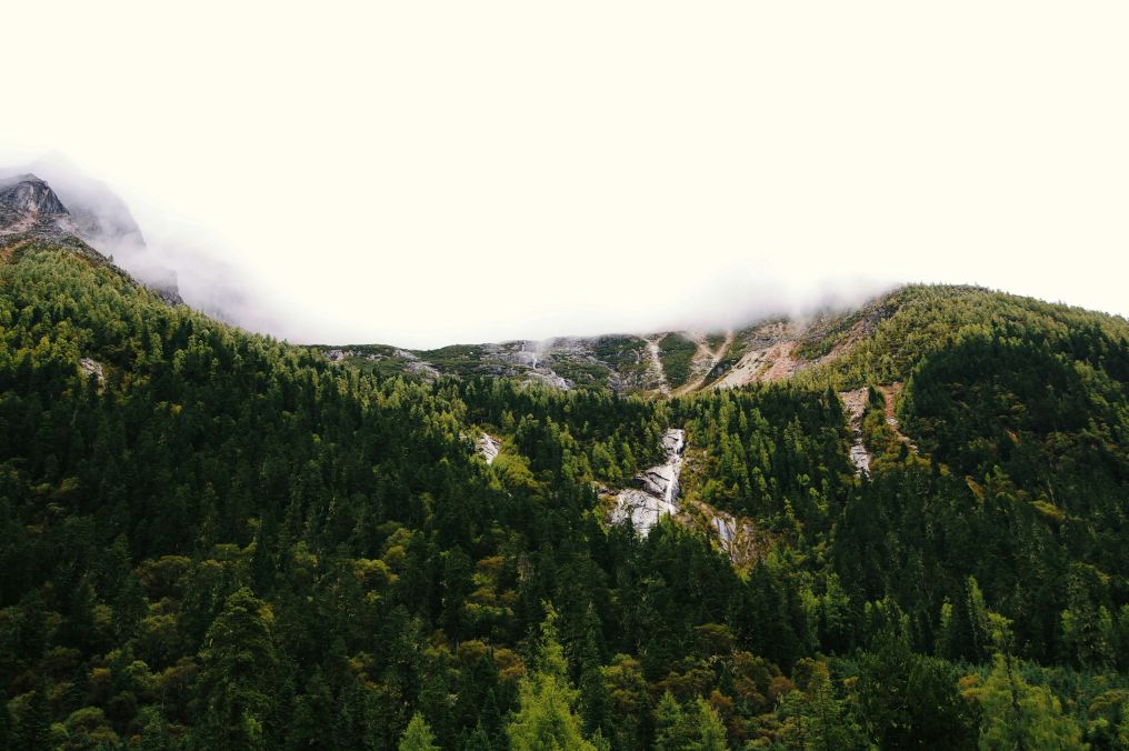 Continuous vs. Discontinuous Measurement ABA