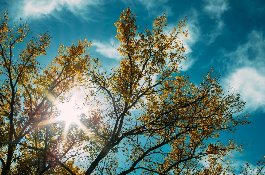 Defining The Extinction Burst In ABA