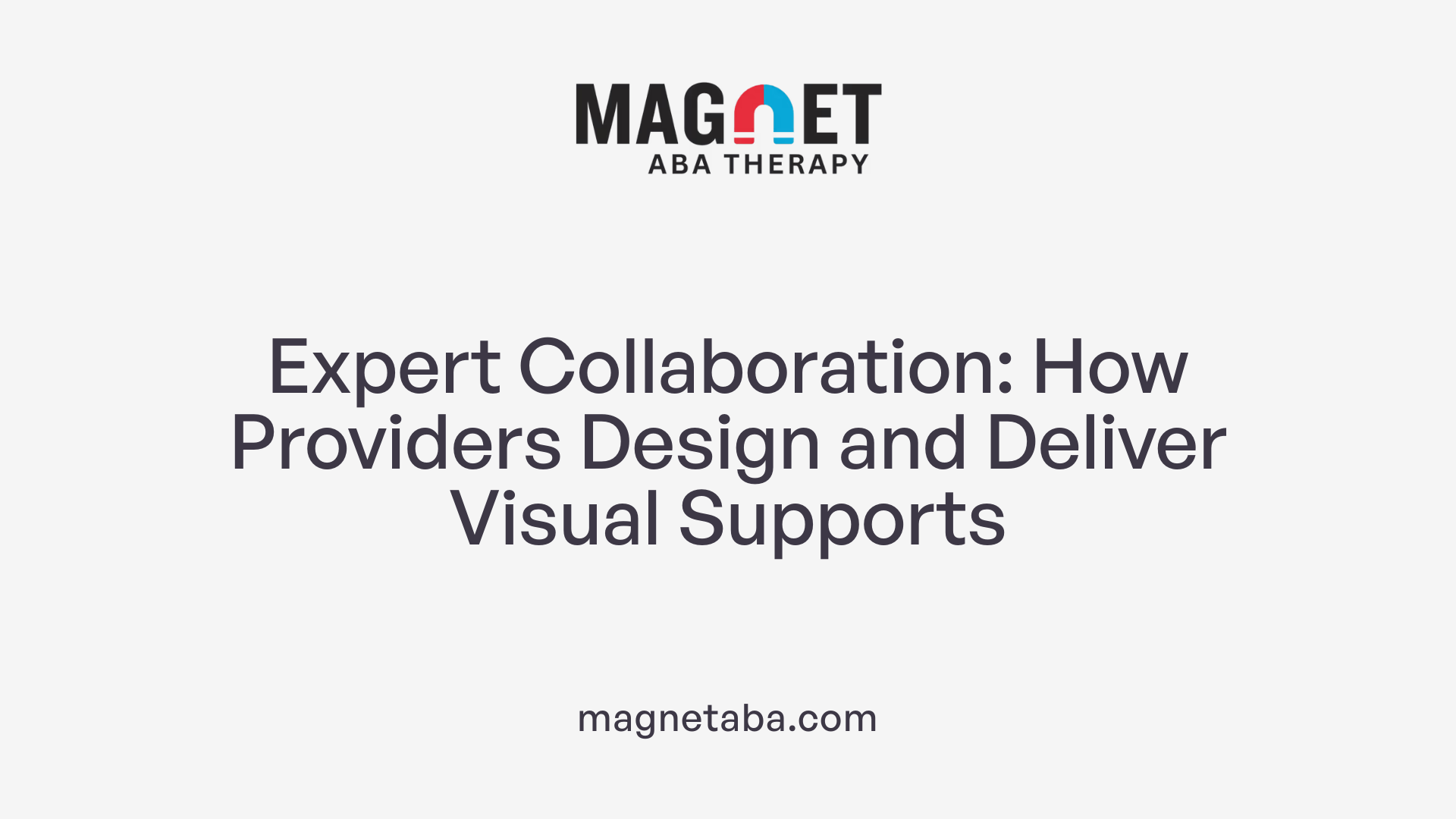 Expert Collaboration: How Providers Design and Deliver Visual Supports