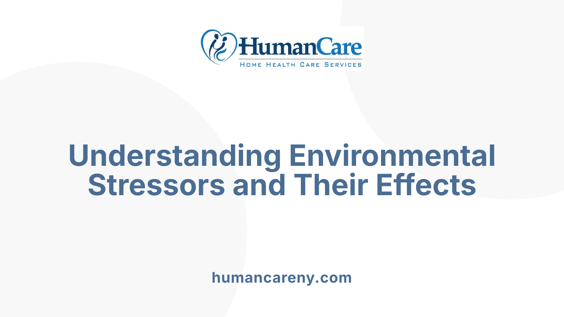 Understanding Environmental Stressors and Their Effects