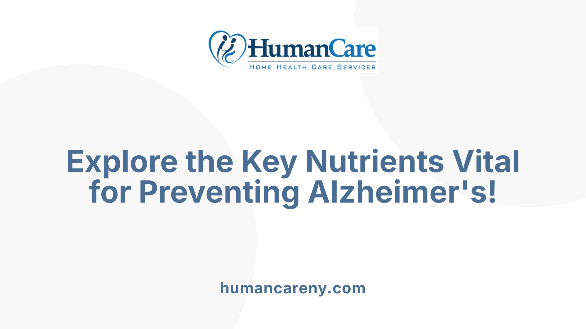 Explore the Key Nutrients Vital for Preventing Alzheimer's!
