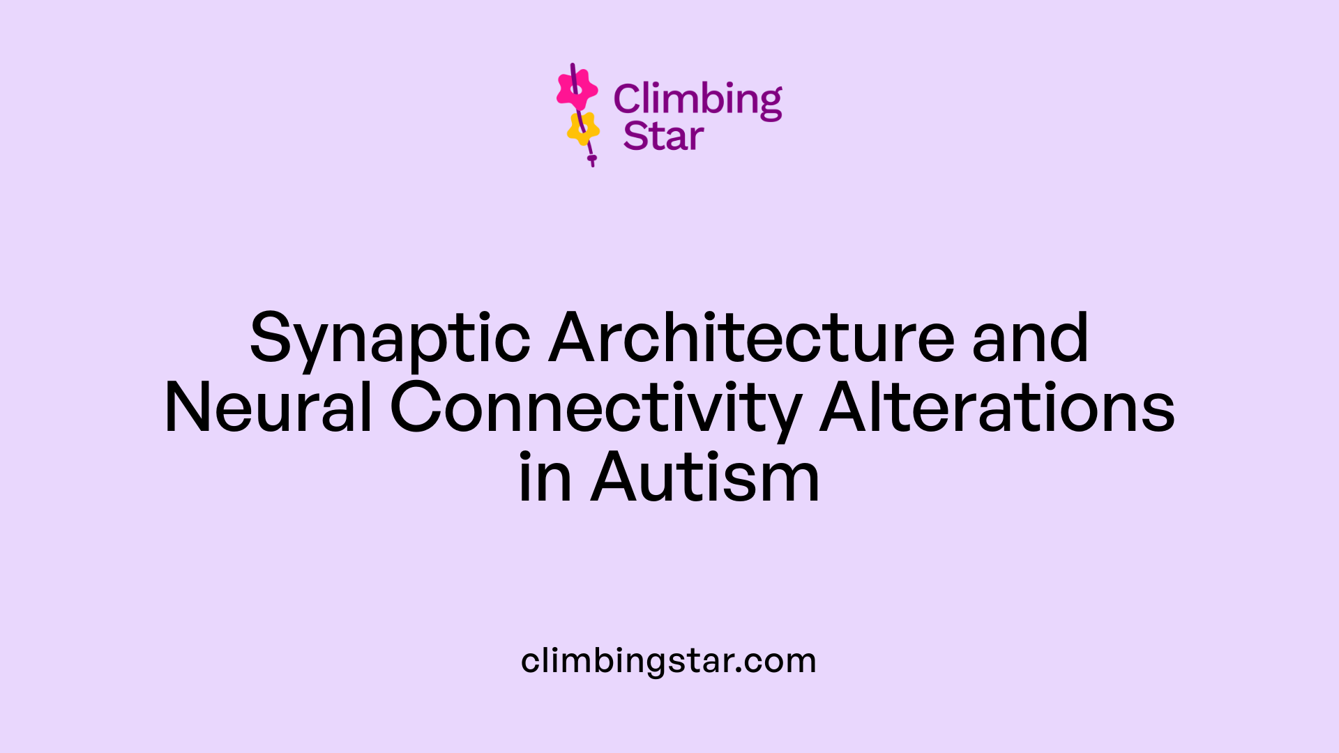 Synaptic Architecture and Neural Connectivity Alterations in Autism