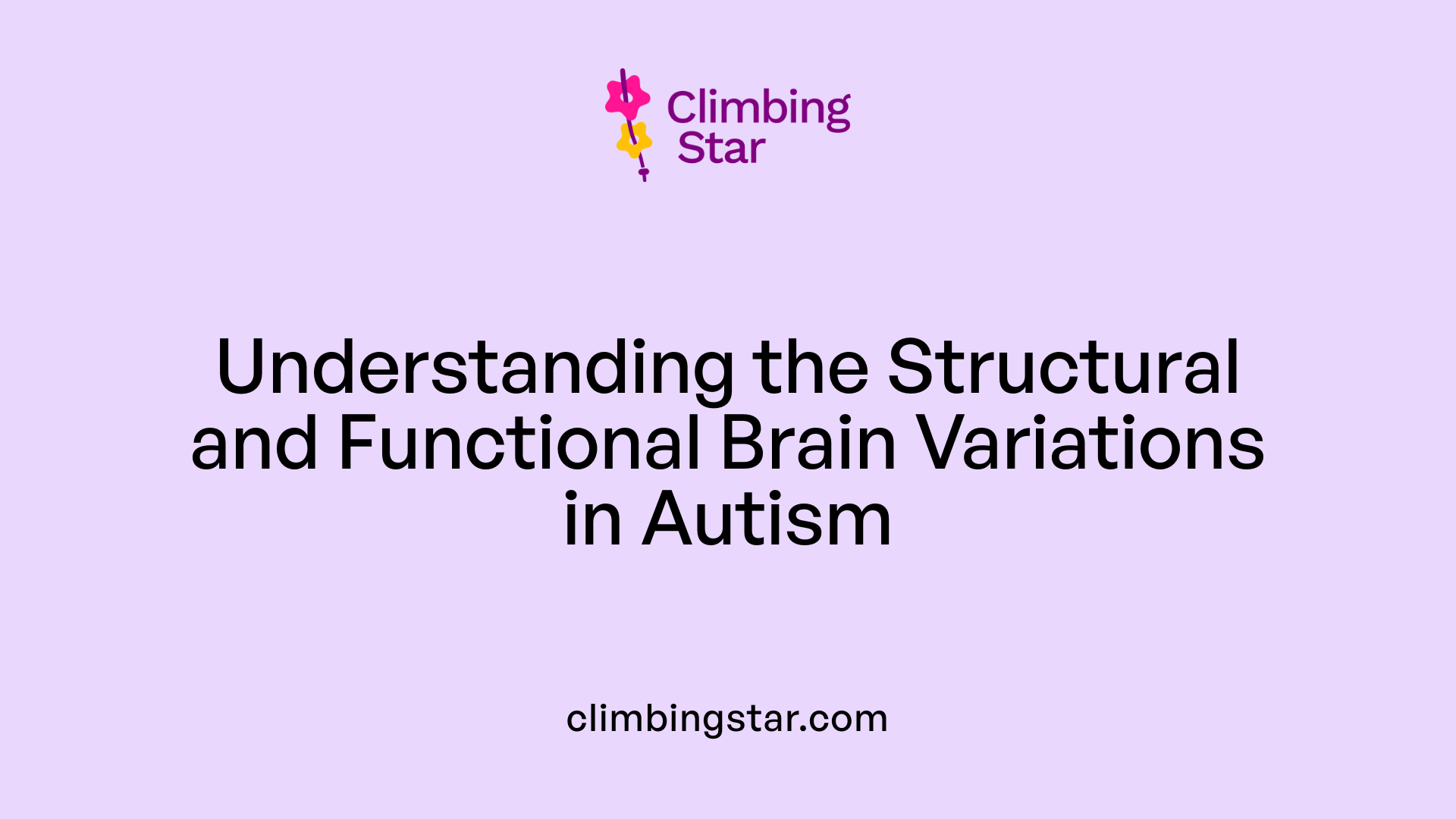 Understanding the Structural and Functional Brain Variations in Autism