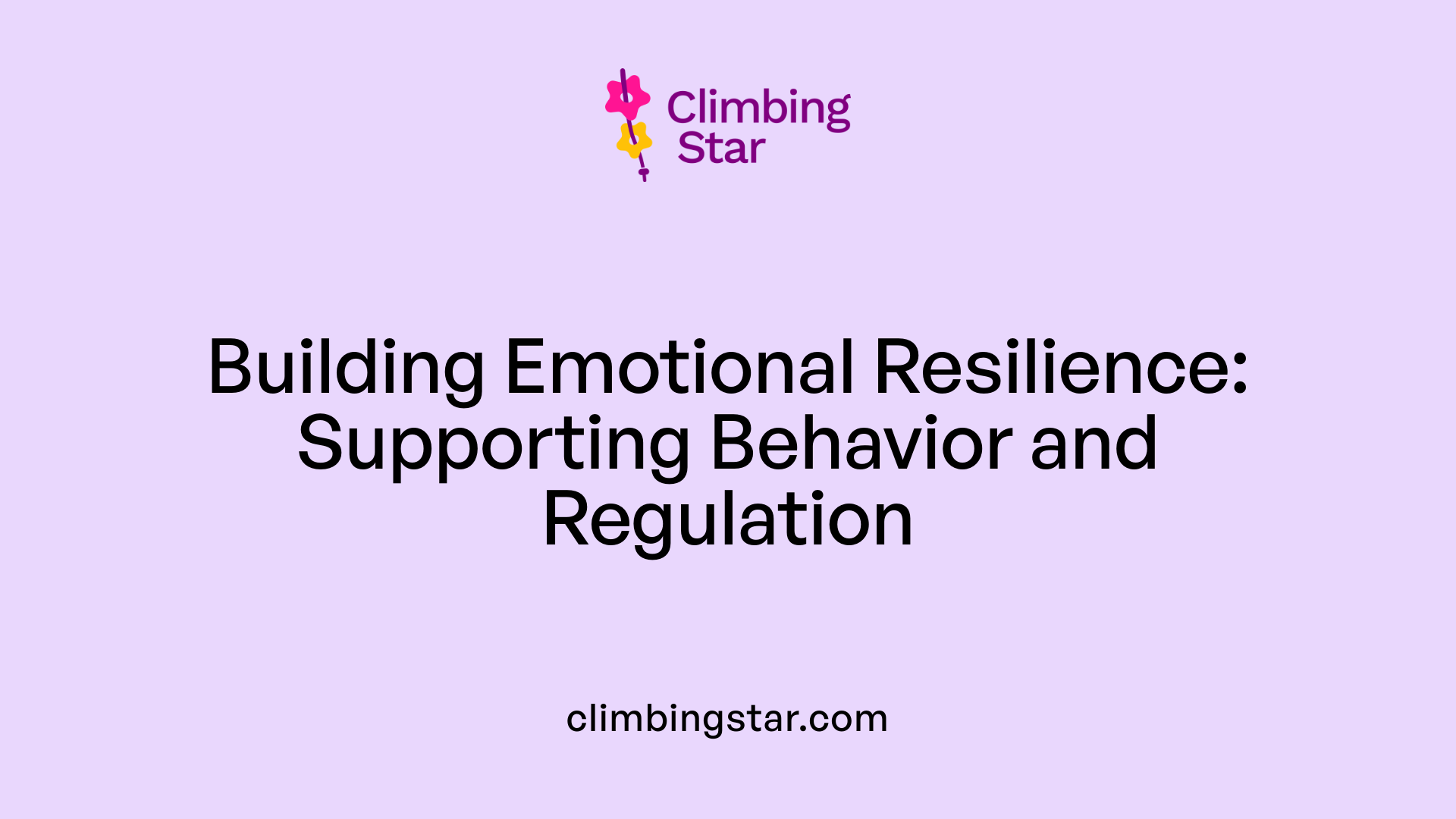 Building Emotional Resilience: Supporting Behavior and Regulation