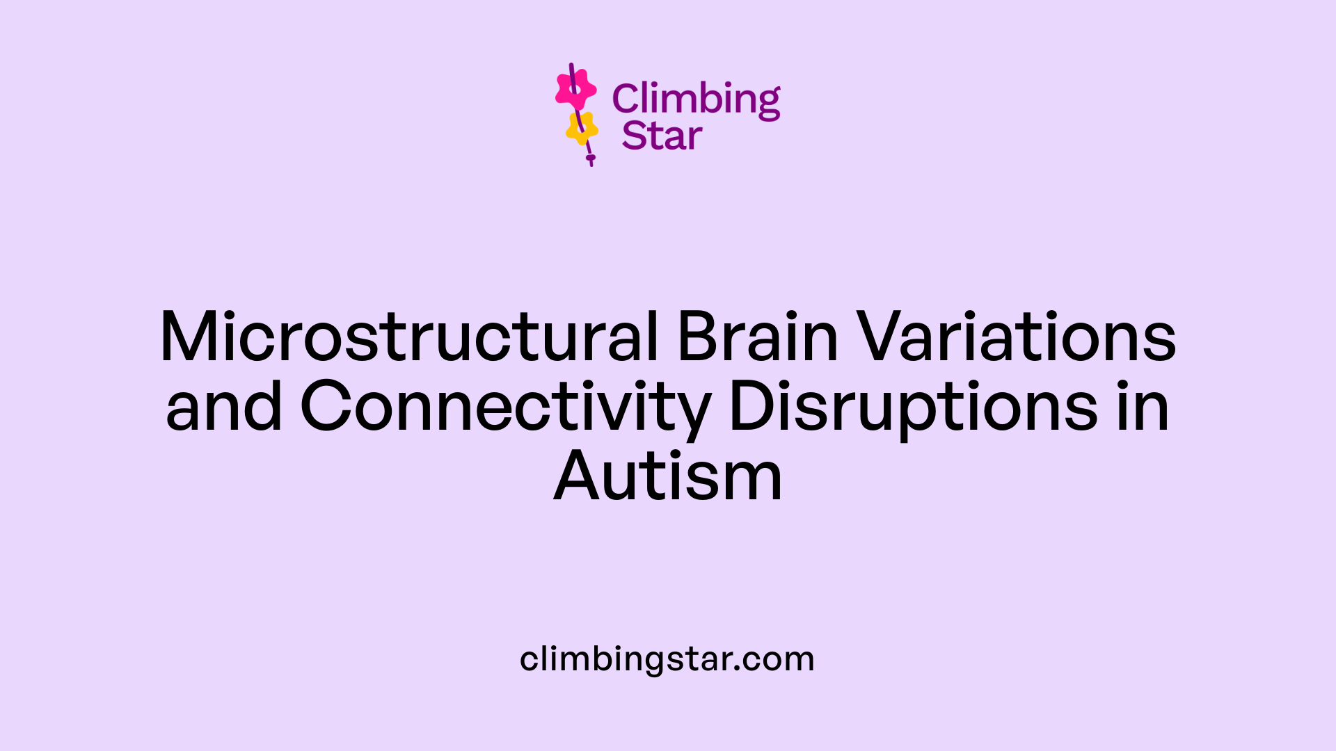 Microstructural Brain Variations and Connectivity Disruptions in Autism