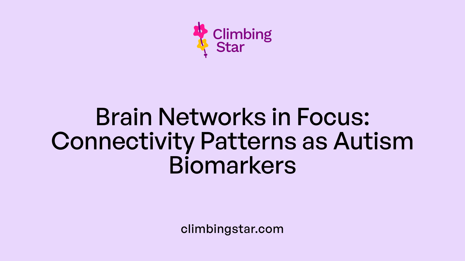 Brain Networks in Focus: Connectivity Patterns as Autism Biomarkers