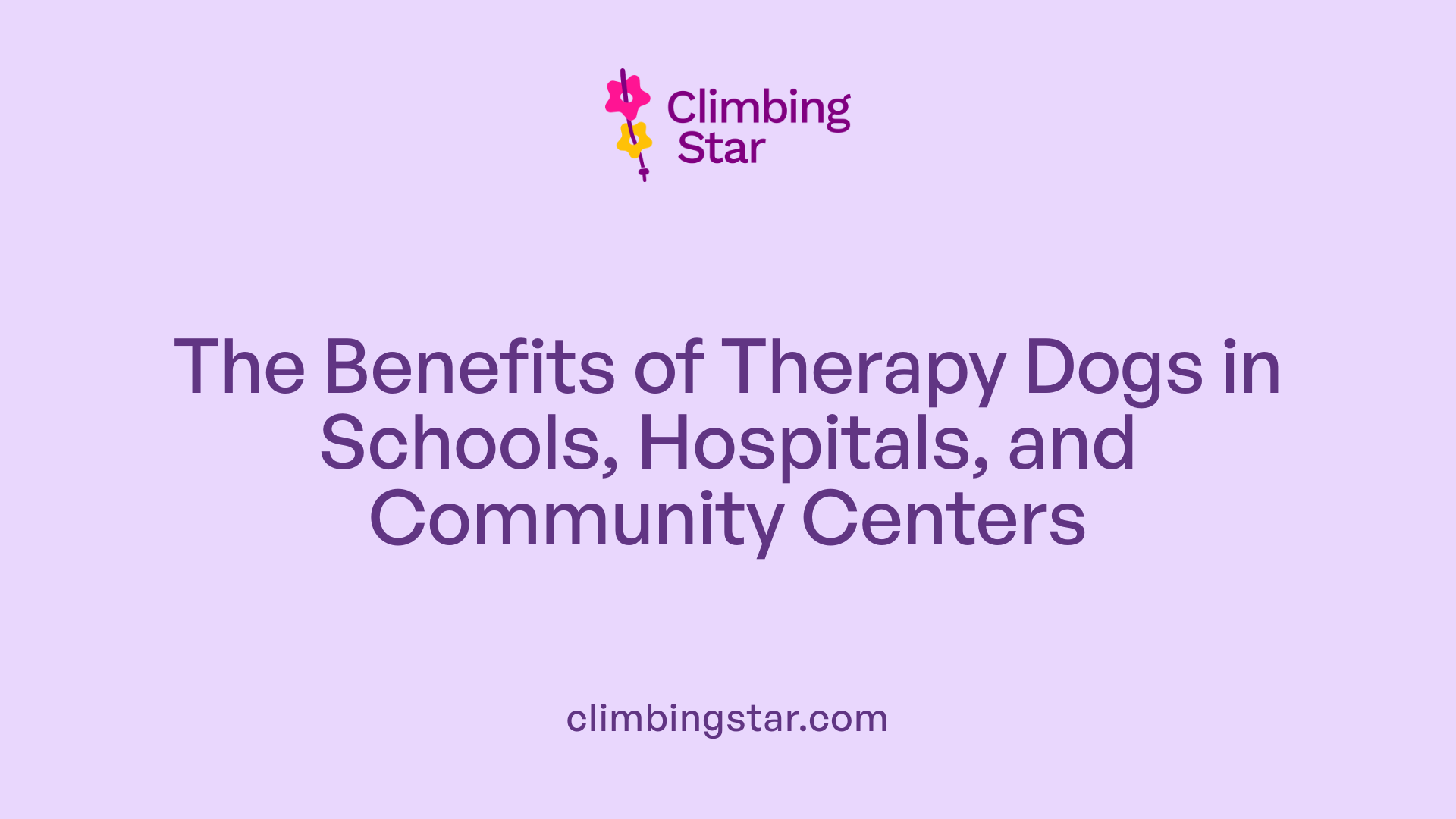 The Benefits of Therapy Dogs in Schools, Hospitals, and Community Centers