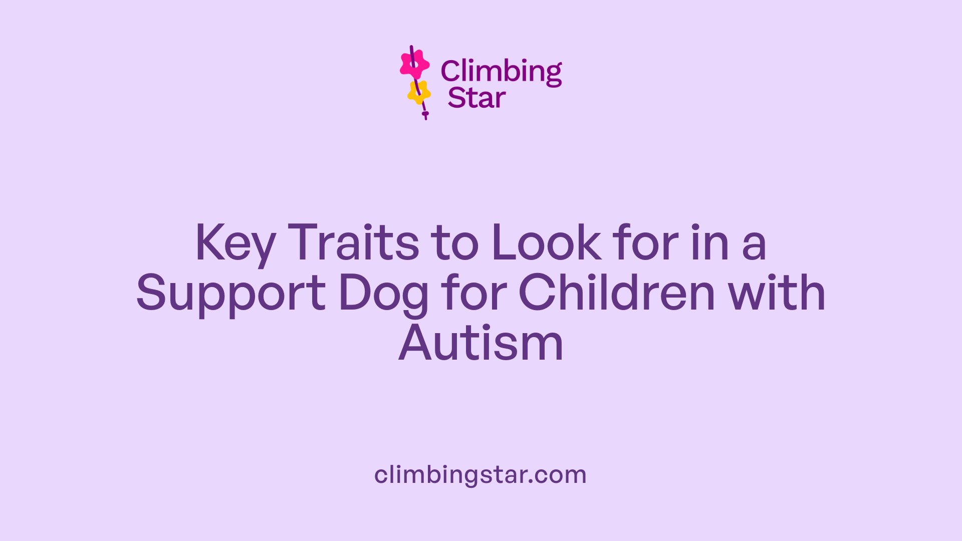 Key Traits to Look for in a Support Dog for Children with Autism