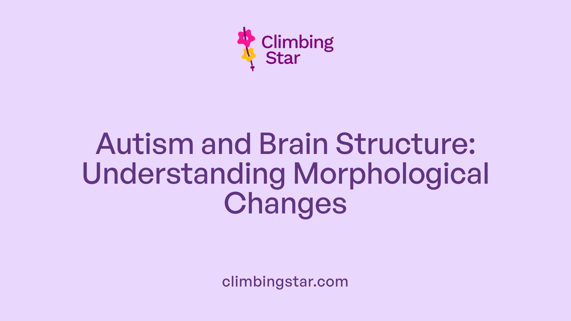 Autism and Brain Structure: Understanding Morphological Changes