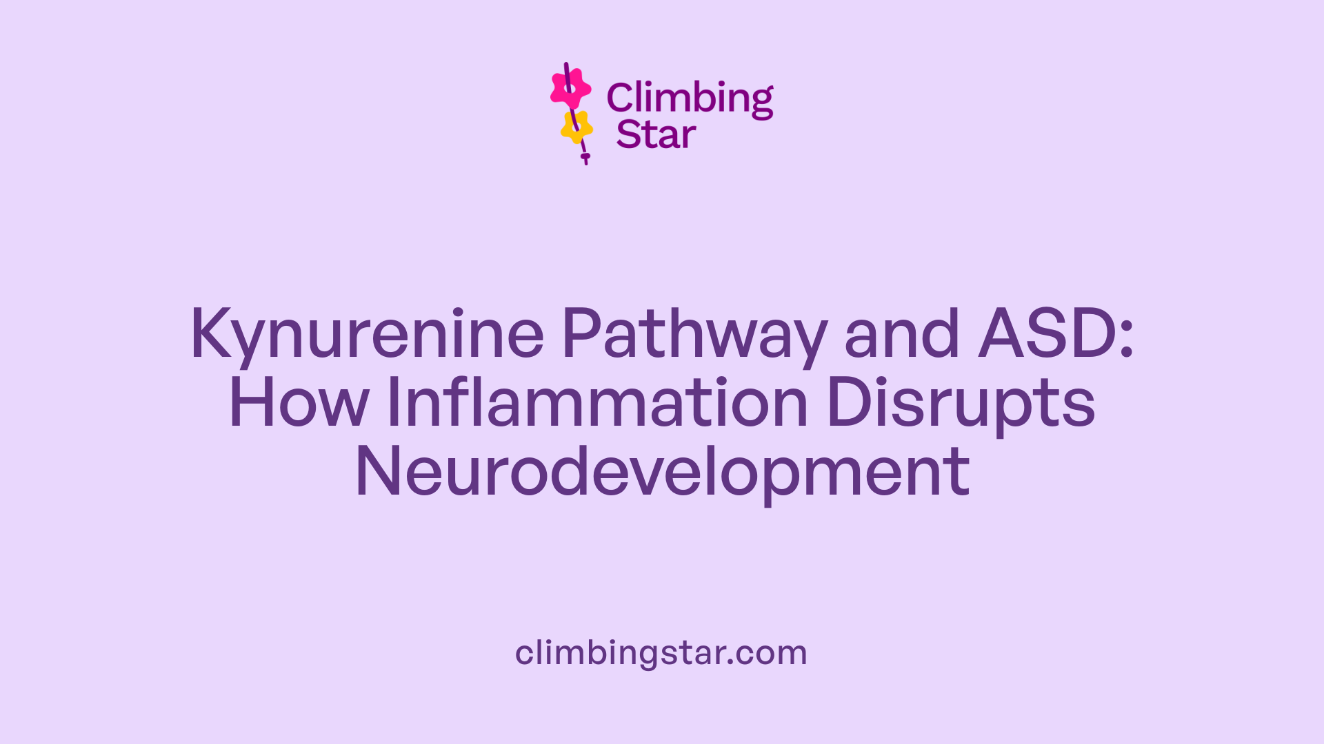 Kynurenine Pathway and ASD: How Inflammation Disrupts Neurodevelopment