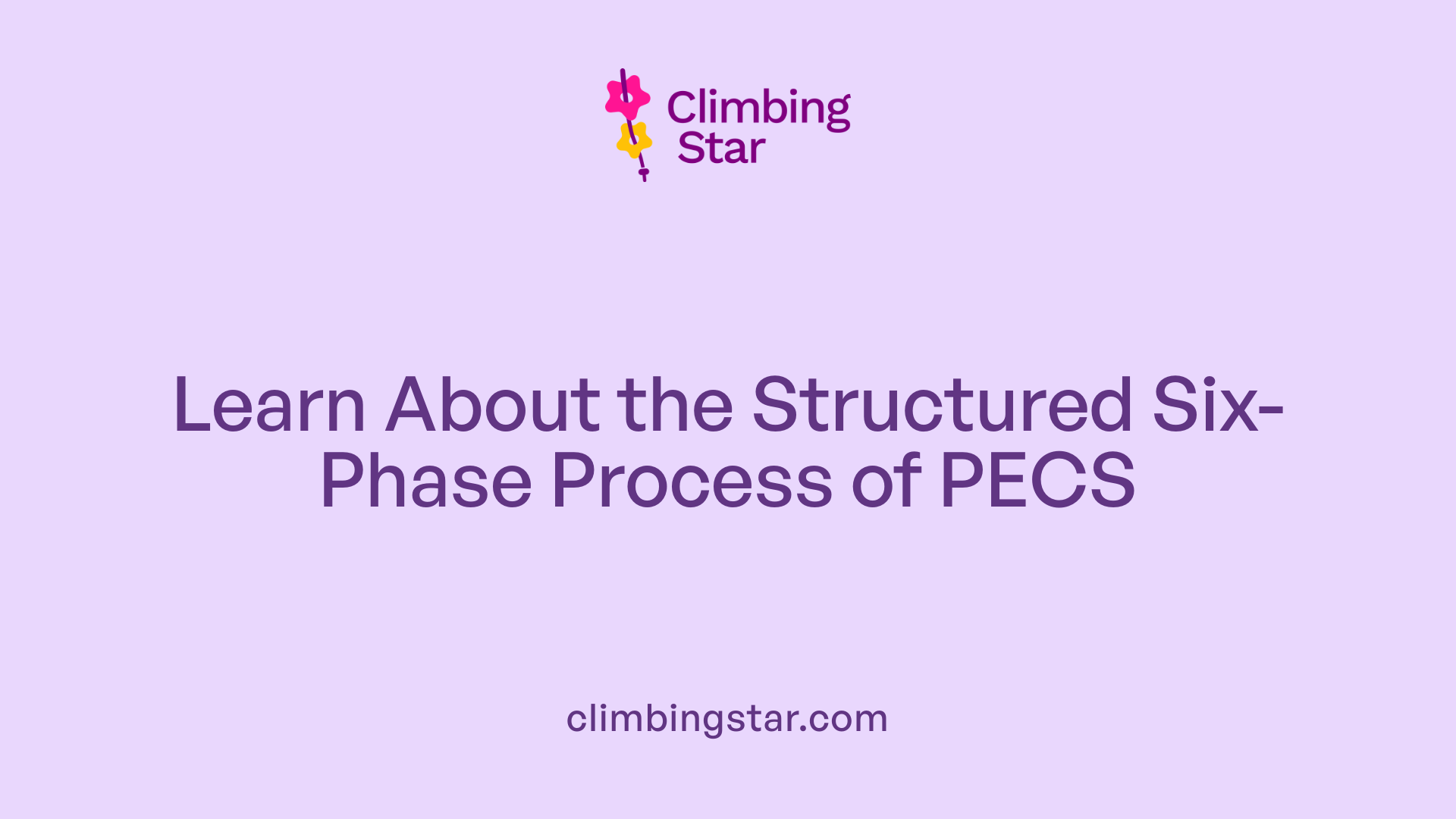 Learn About the Structured Six-Phase Process of PECS