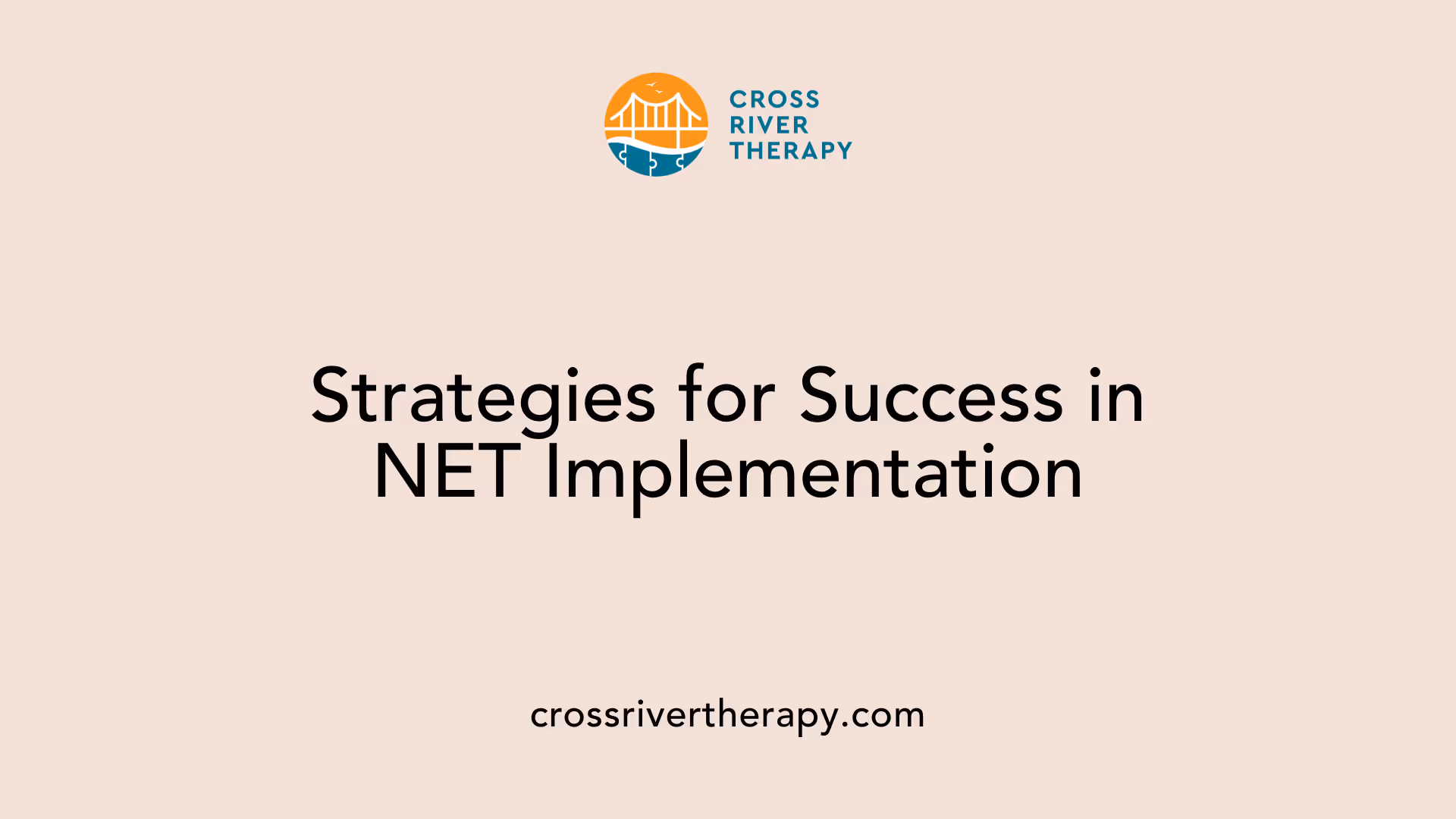 Strategies for Success in NET Implementation