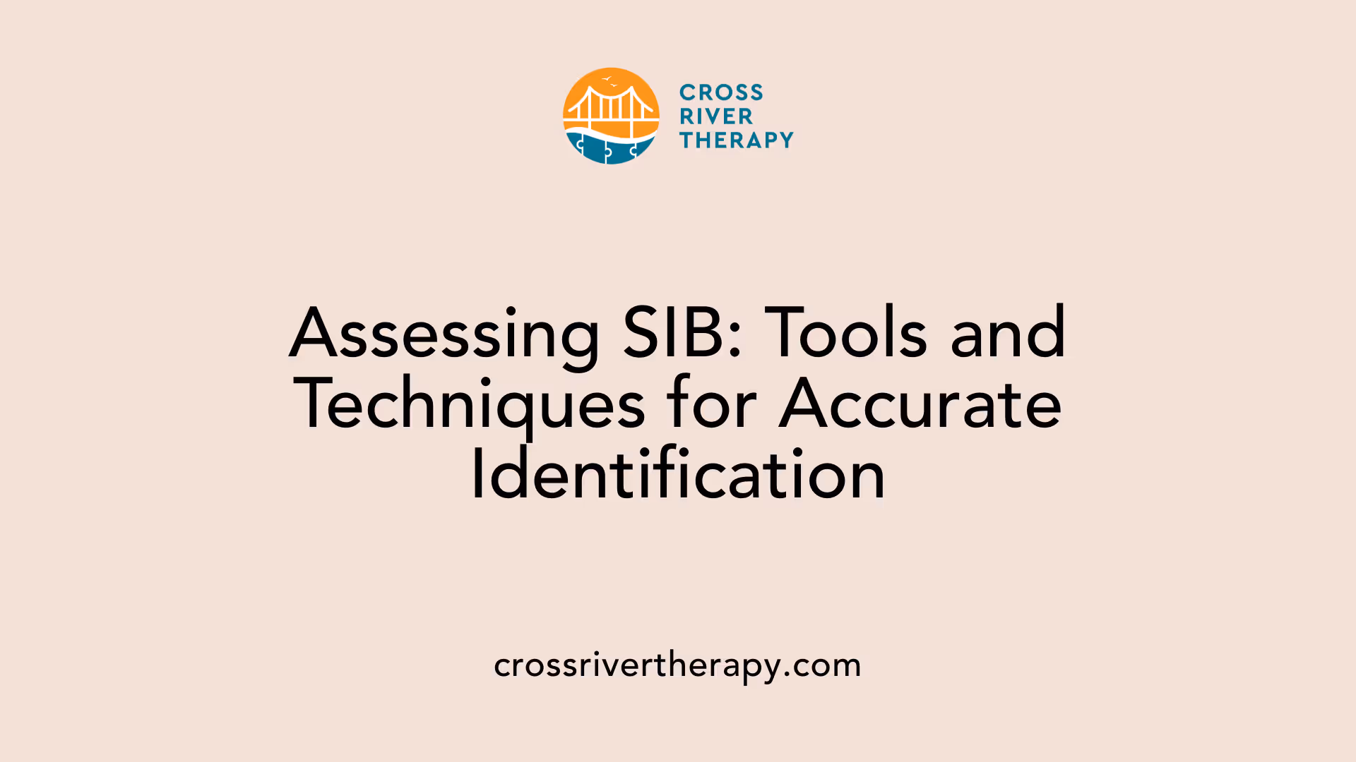 Assessing SIB: Tools and Techniques for Accurate Identification