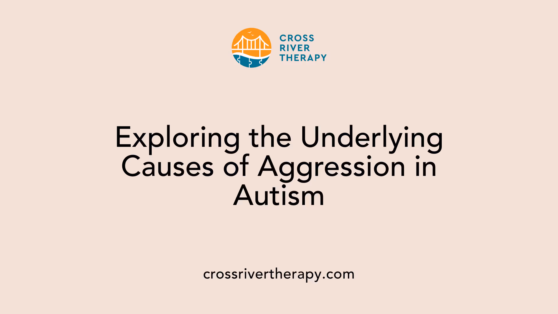 Exploring the Underlying Causes of Aggression in Autism
