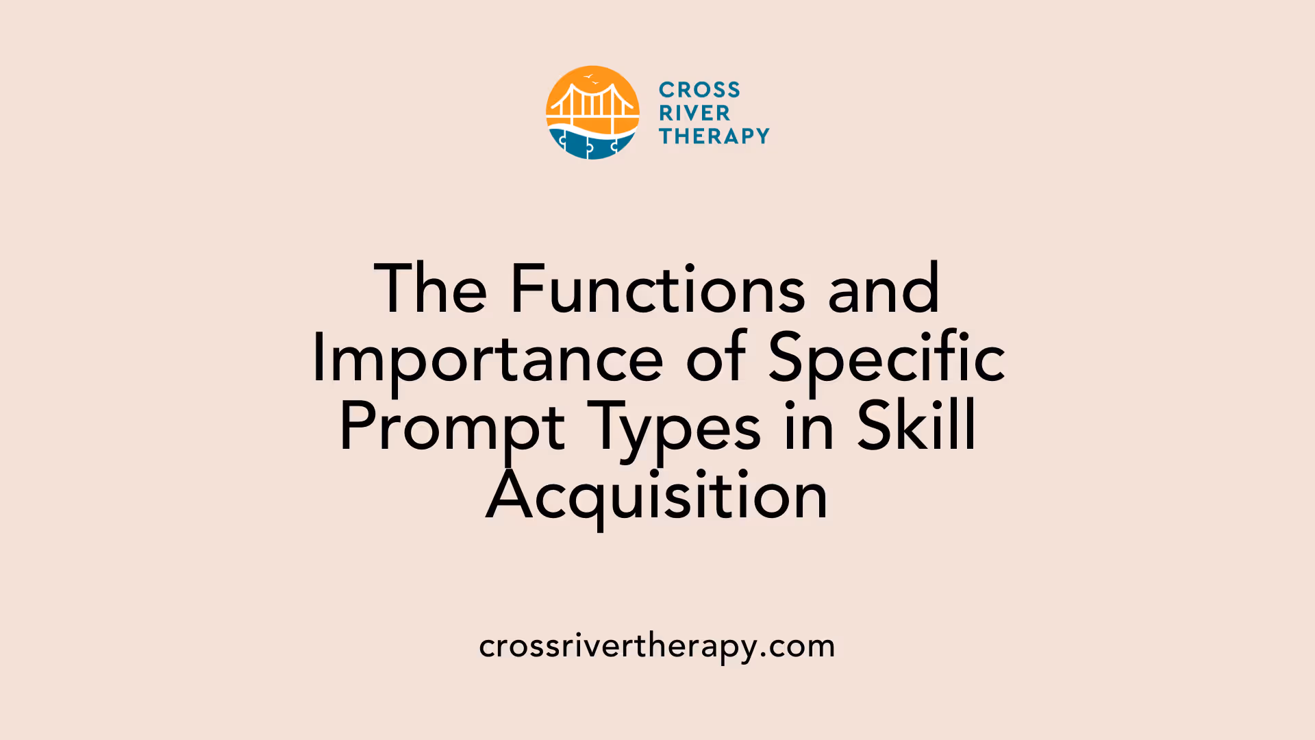 The Functions and Importance of Specific Prompt Types in Skill Acquisition