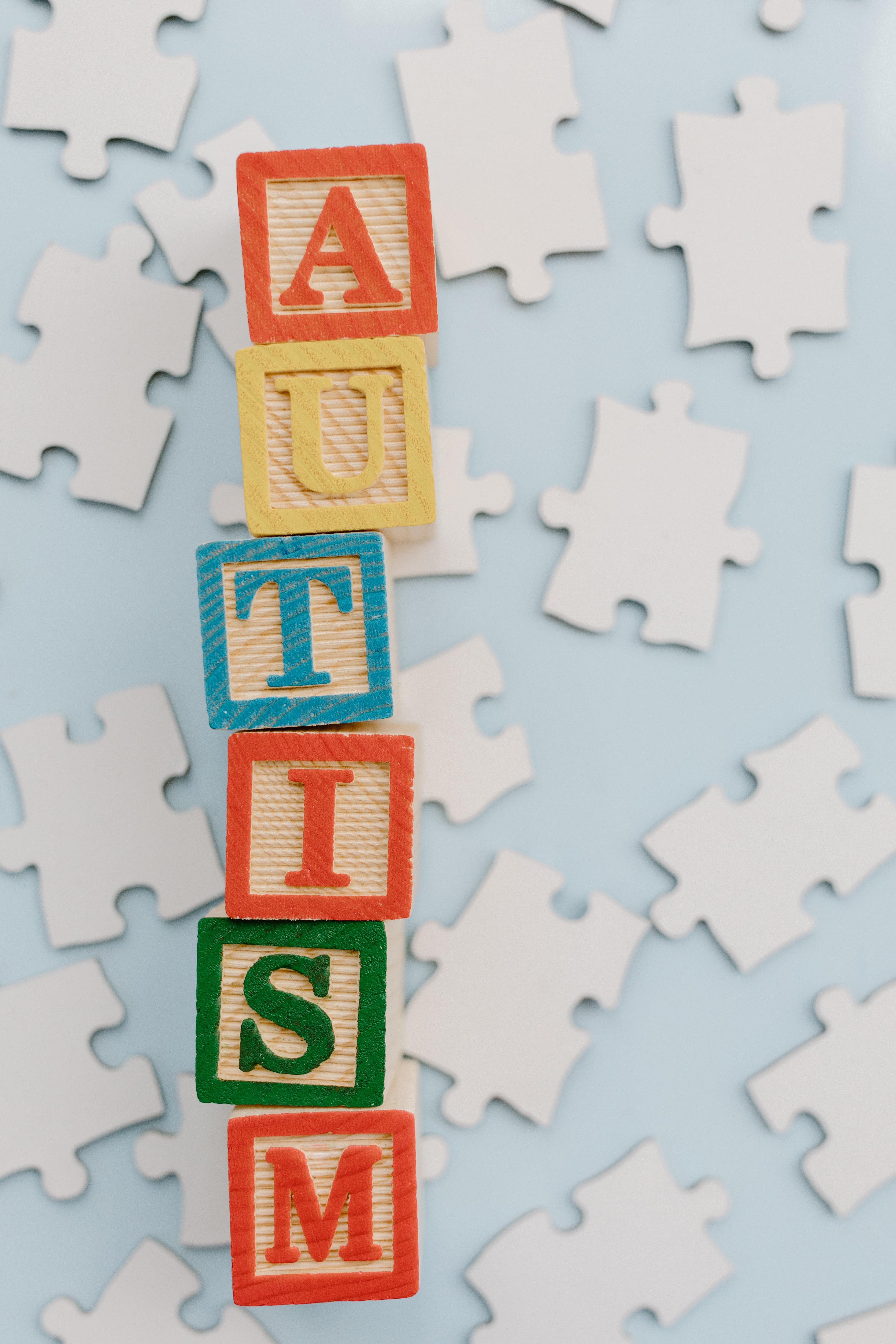 What Can Cause Autism?: The Autism Equation