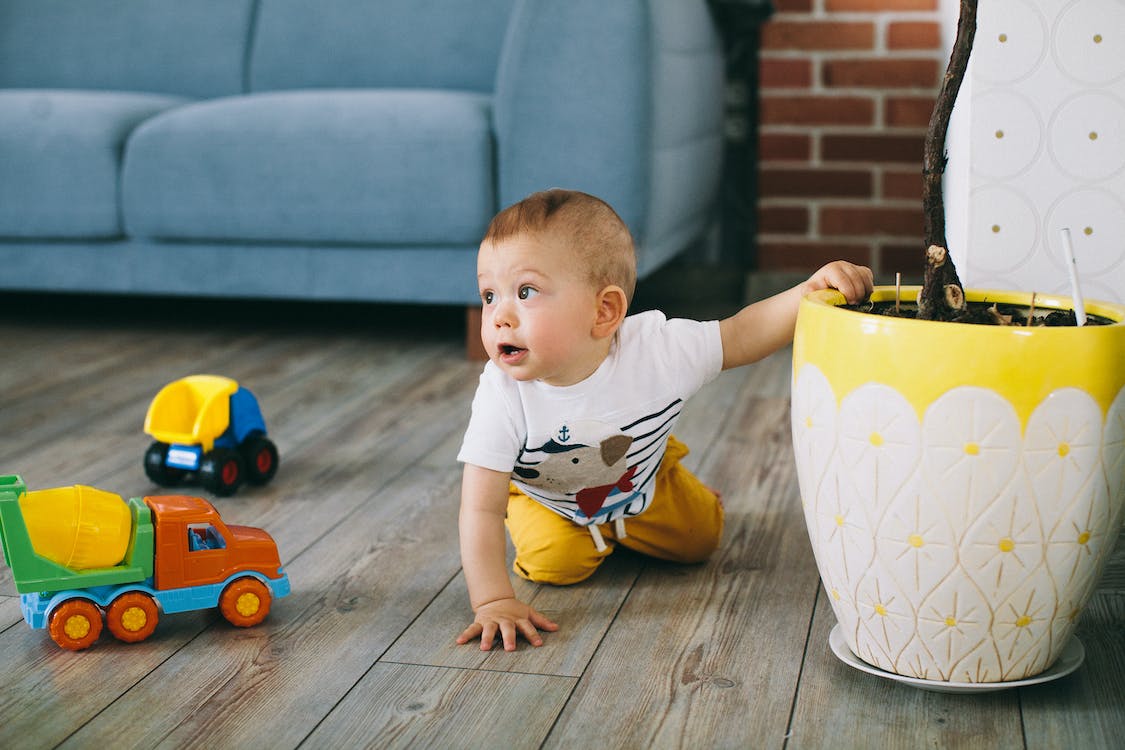 Free Baby Boy Crawling on the Floor Stock Photo