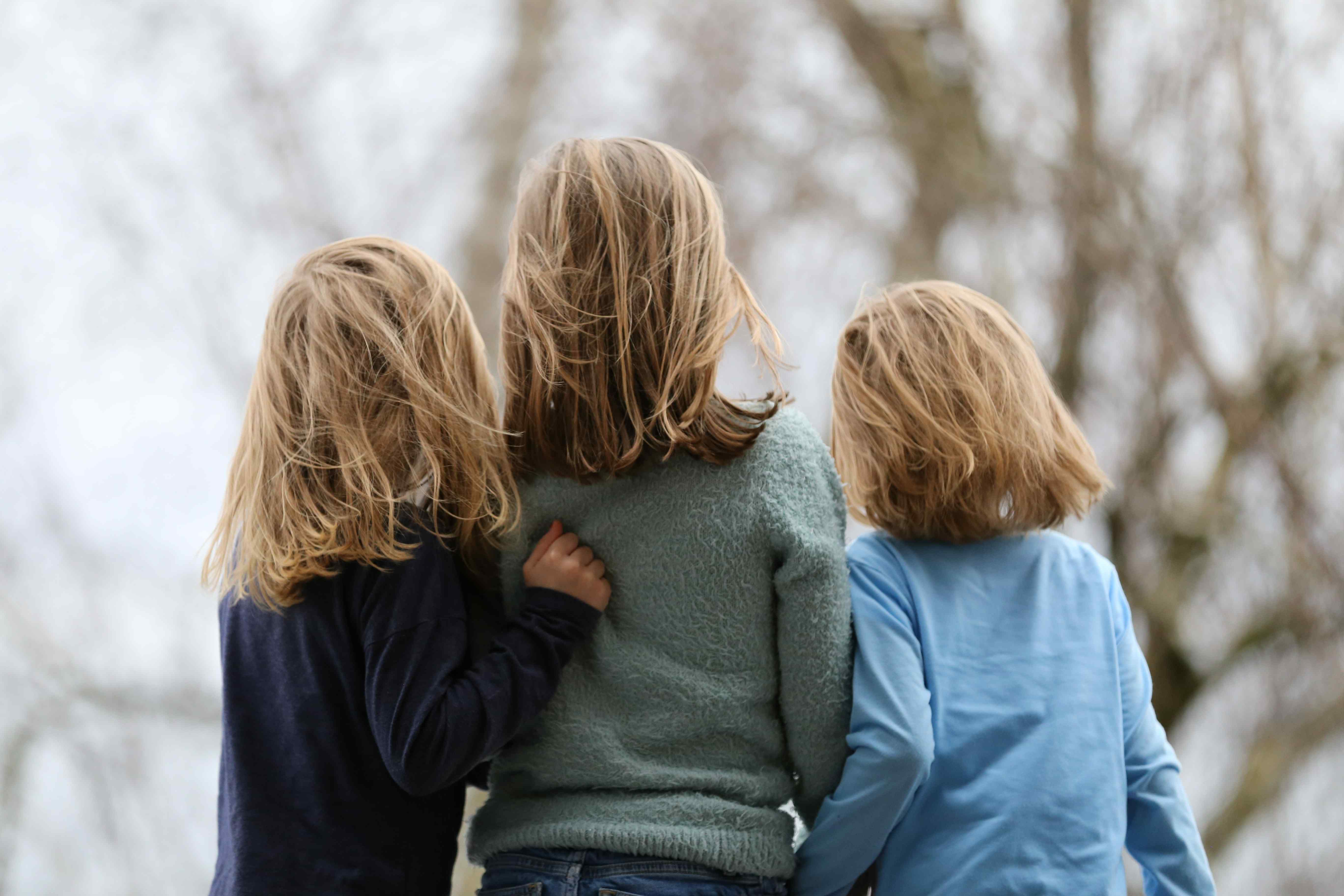 Siblings and Autism: A Guide for Families