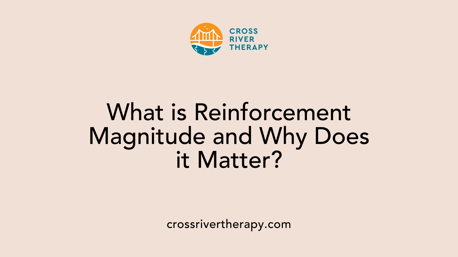 What is Reinforcement Magnitude and Why Does it Matter?