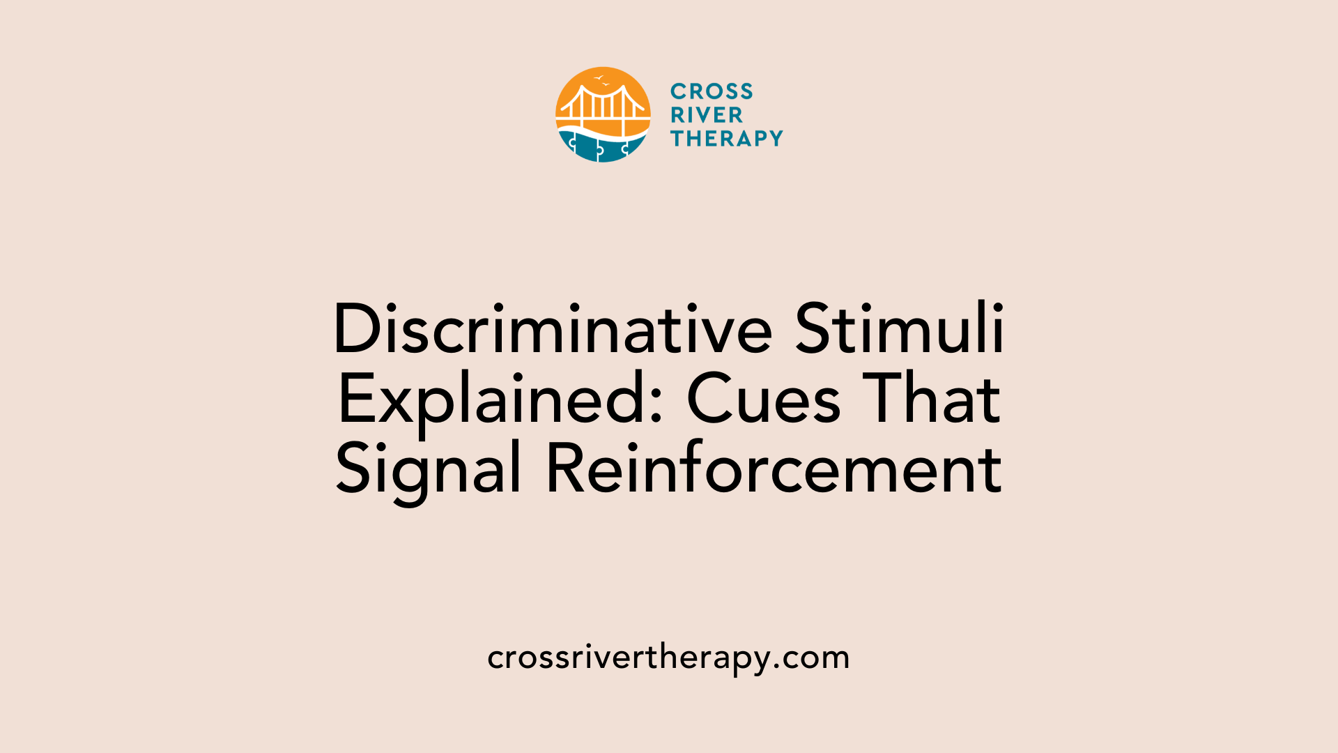 Discriminative Stimuli Explained: Cues That Signal Reinforcement