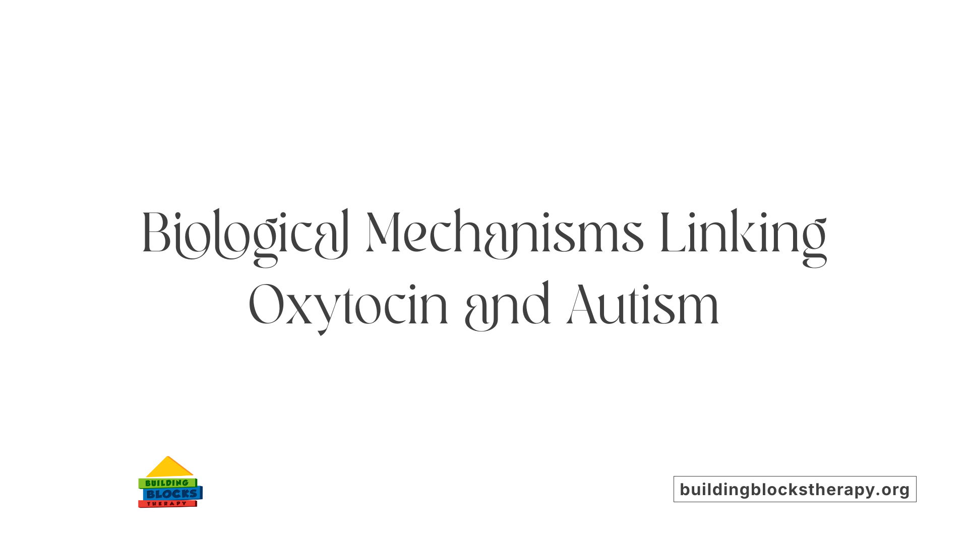 Biological Mechanisms Linking Oxytocin and Autism