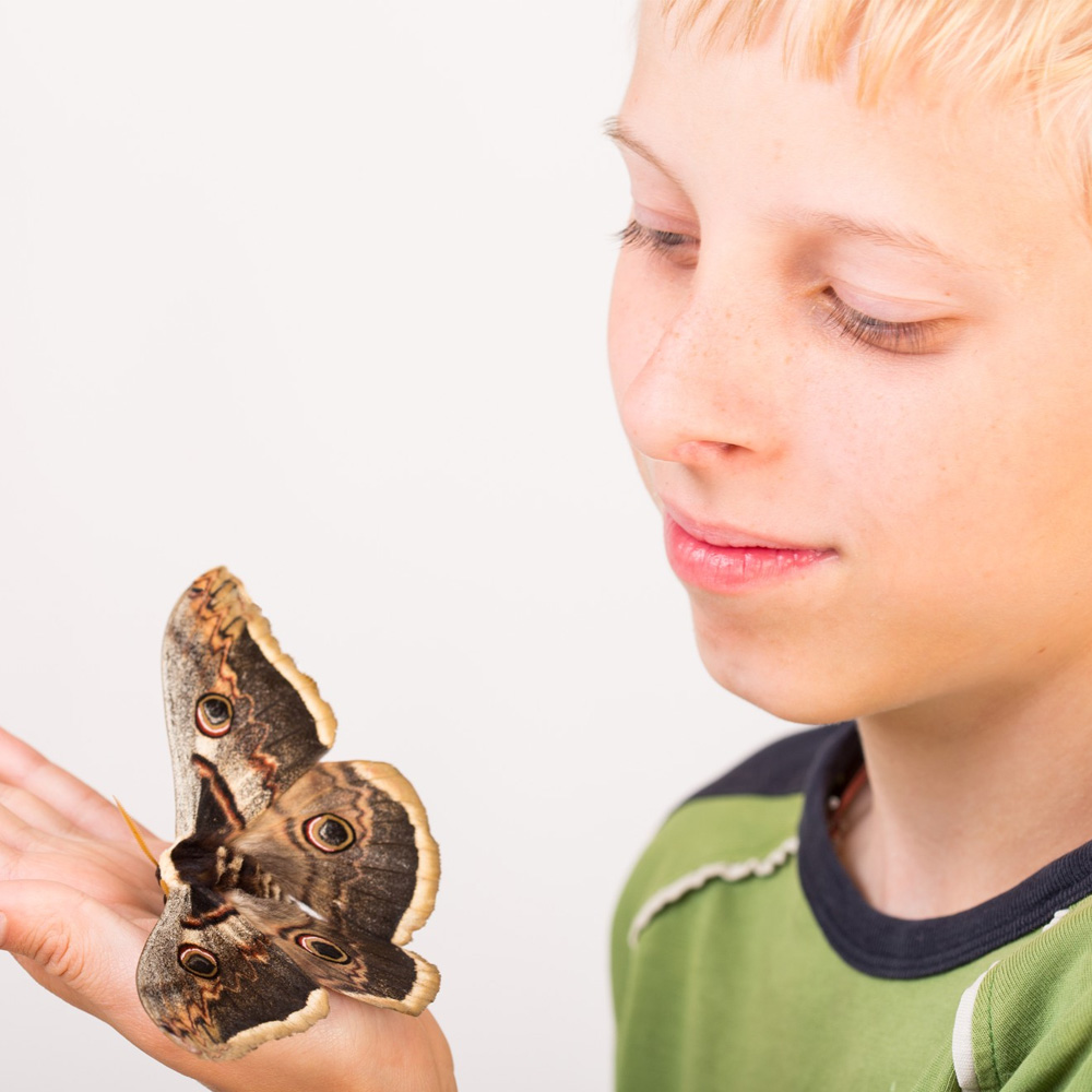 Oxytocin's Link To Autism