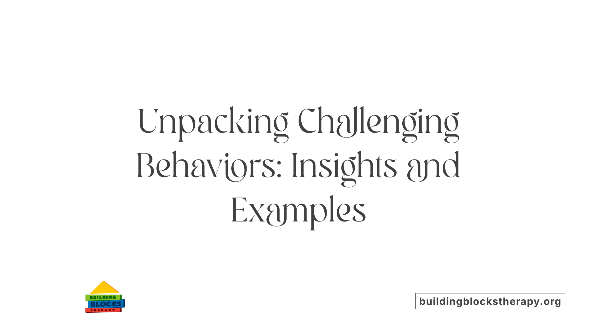 Unpacking Challenging Behaviors: Insights and Examples