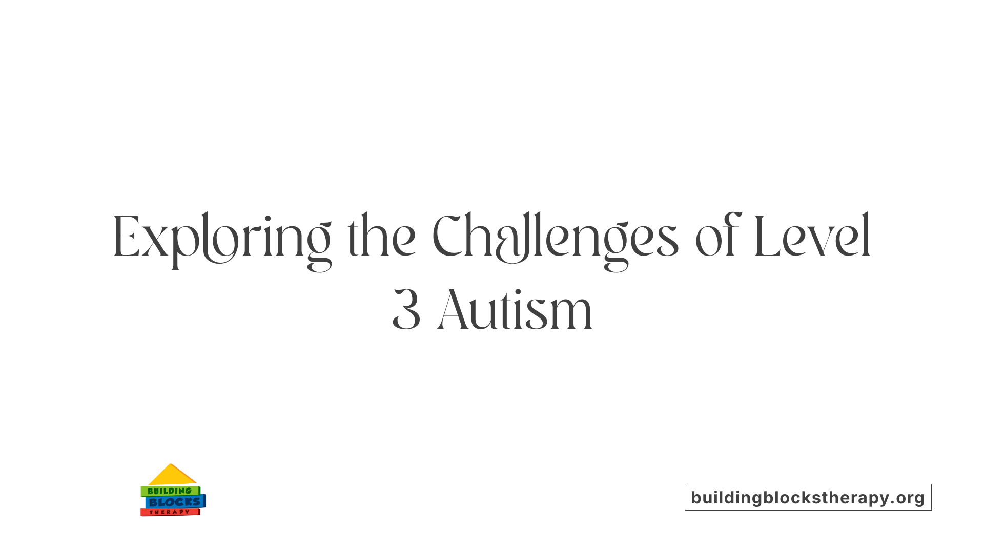 Exploring the Challenges of Level 3 Autism