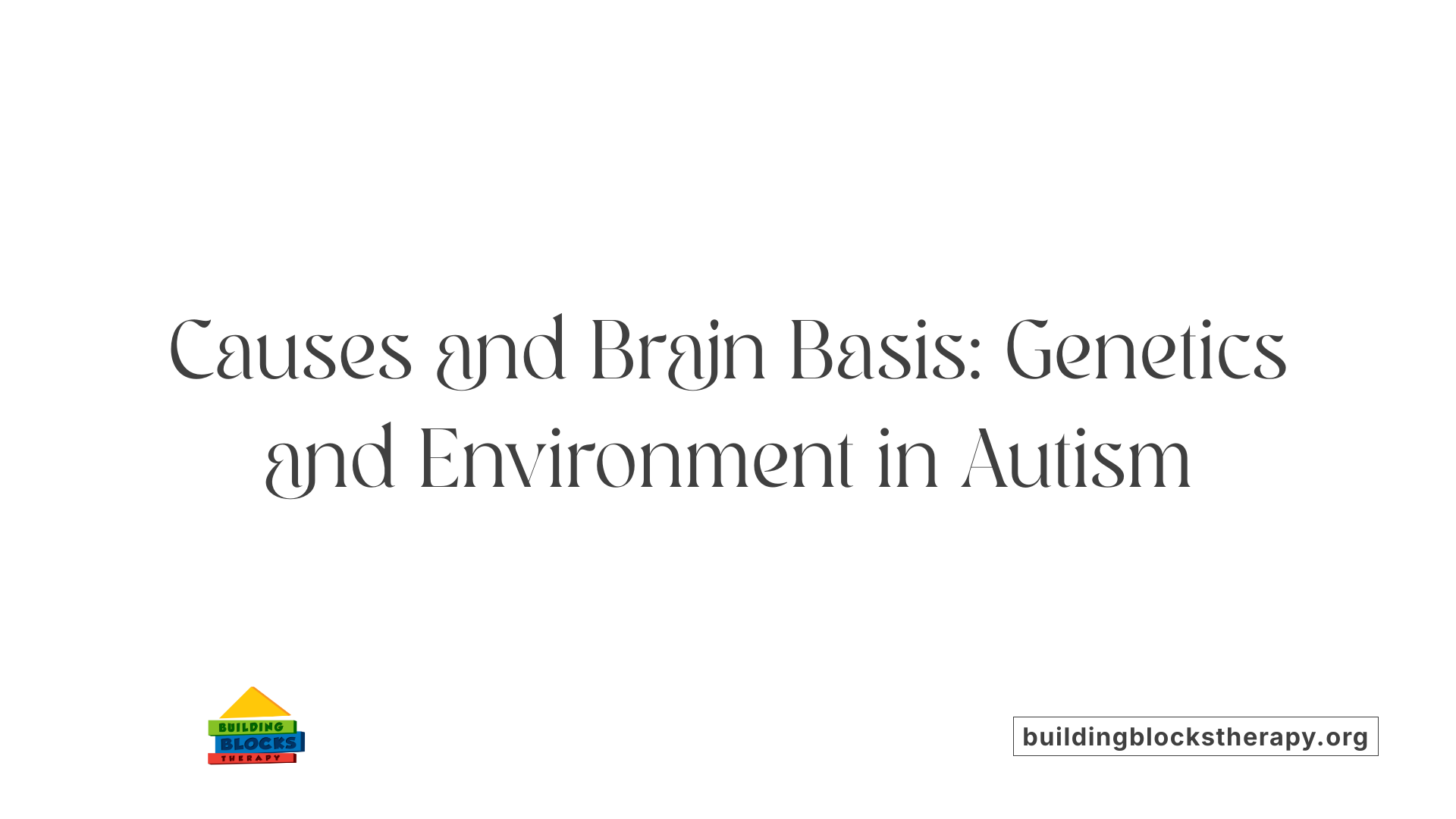 Causes and Brain Basis: Genetics and Environment in Autism