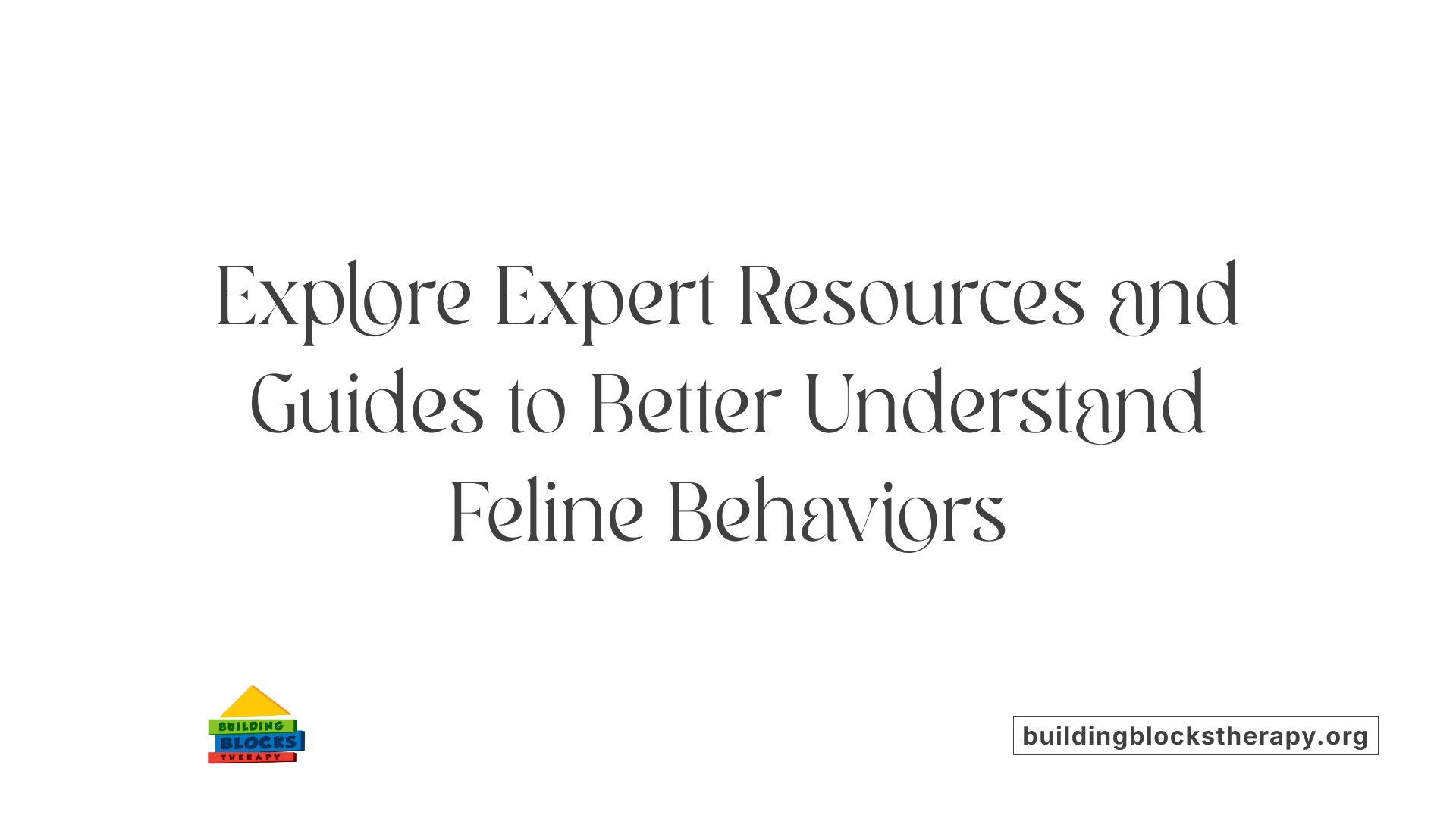 Explore Expert Resources and Guides to Better Understand Feline Behaviors