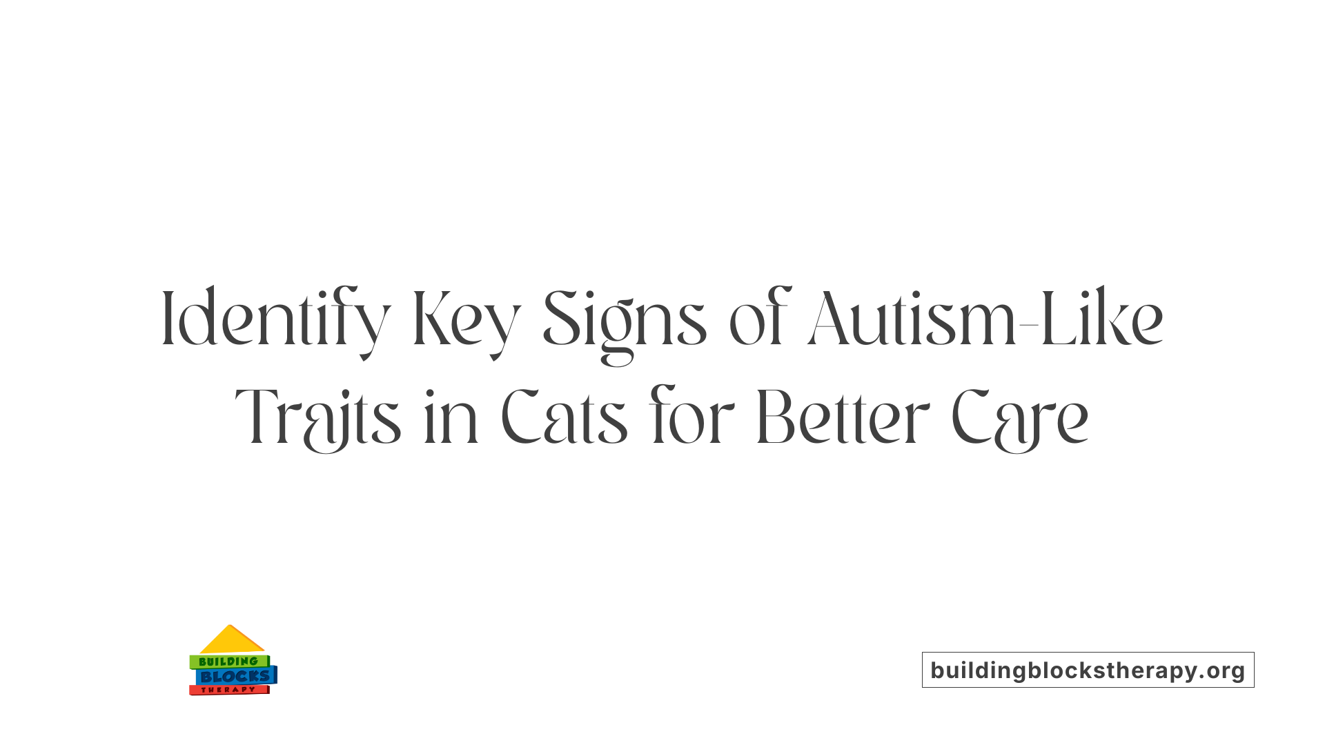 Identify Key Signs of Autism-Like Traits in Cats for Better Care