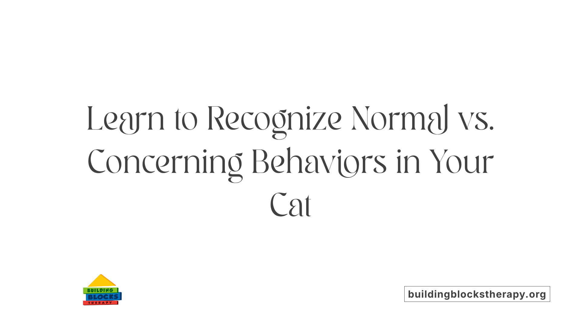 Learn to Recognize Normal vs. Concerning Behaviors in Your Cat